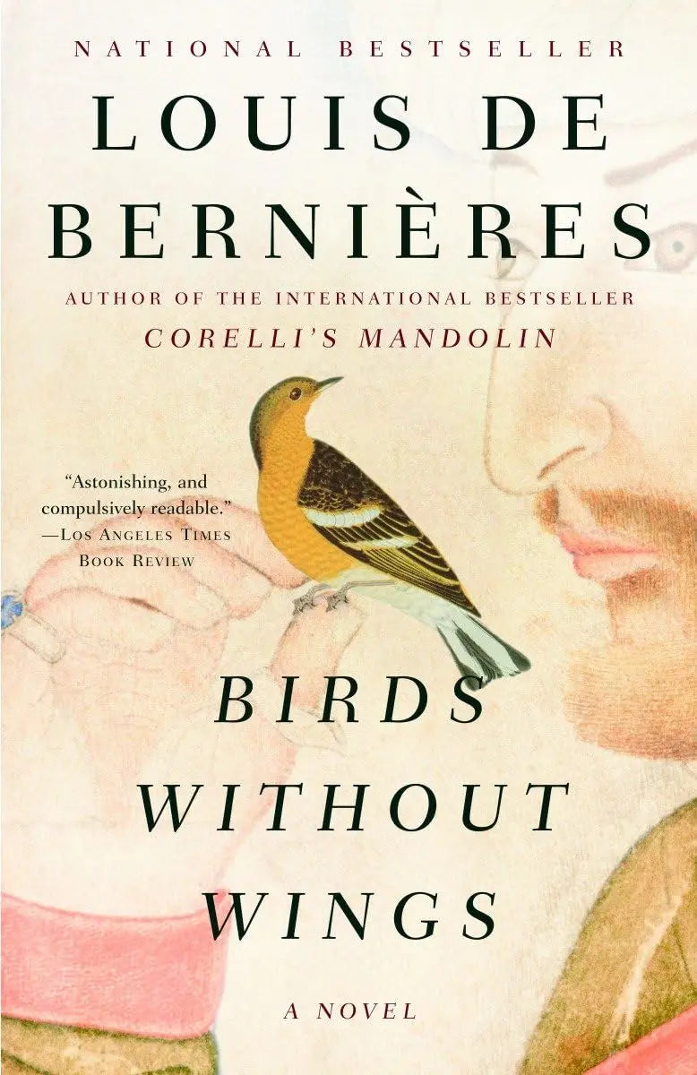 Birds Without Wings The Happy Book Stack