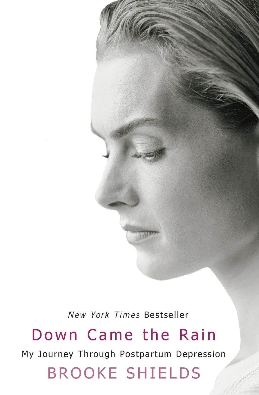 Down Came the Rain: My Journey Through Postpartum Depression The Happy Book Stack