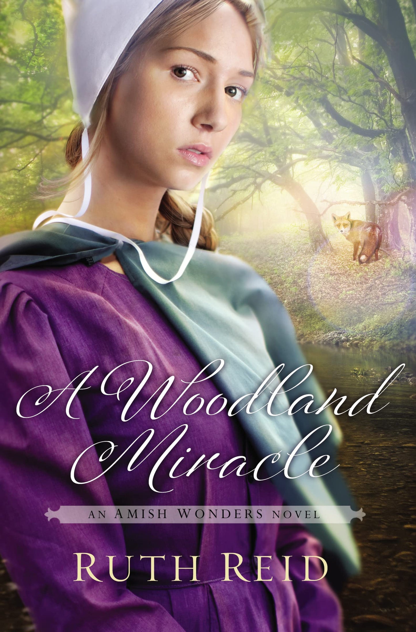 A Woodland Miracle (The Amish Wonders Series) The Happy Book Stack