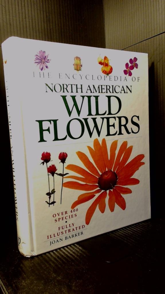 Encyclopedia of North American Wild Flowers - 5329