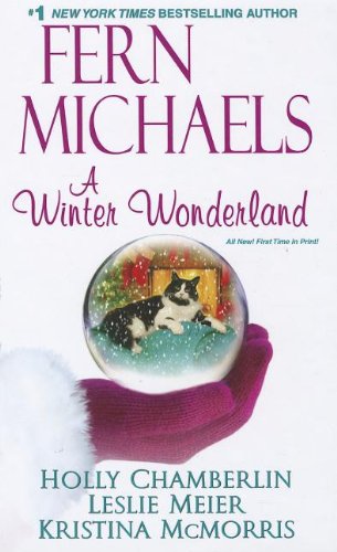 A Winter Wonderland (Wheeler Publishing Large Print Hardcover) The Happy Book Stack