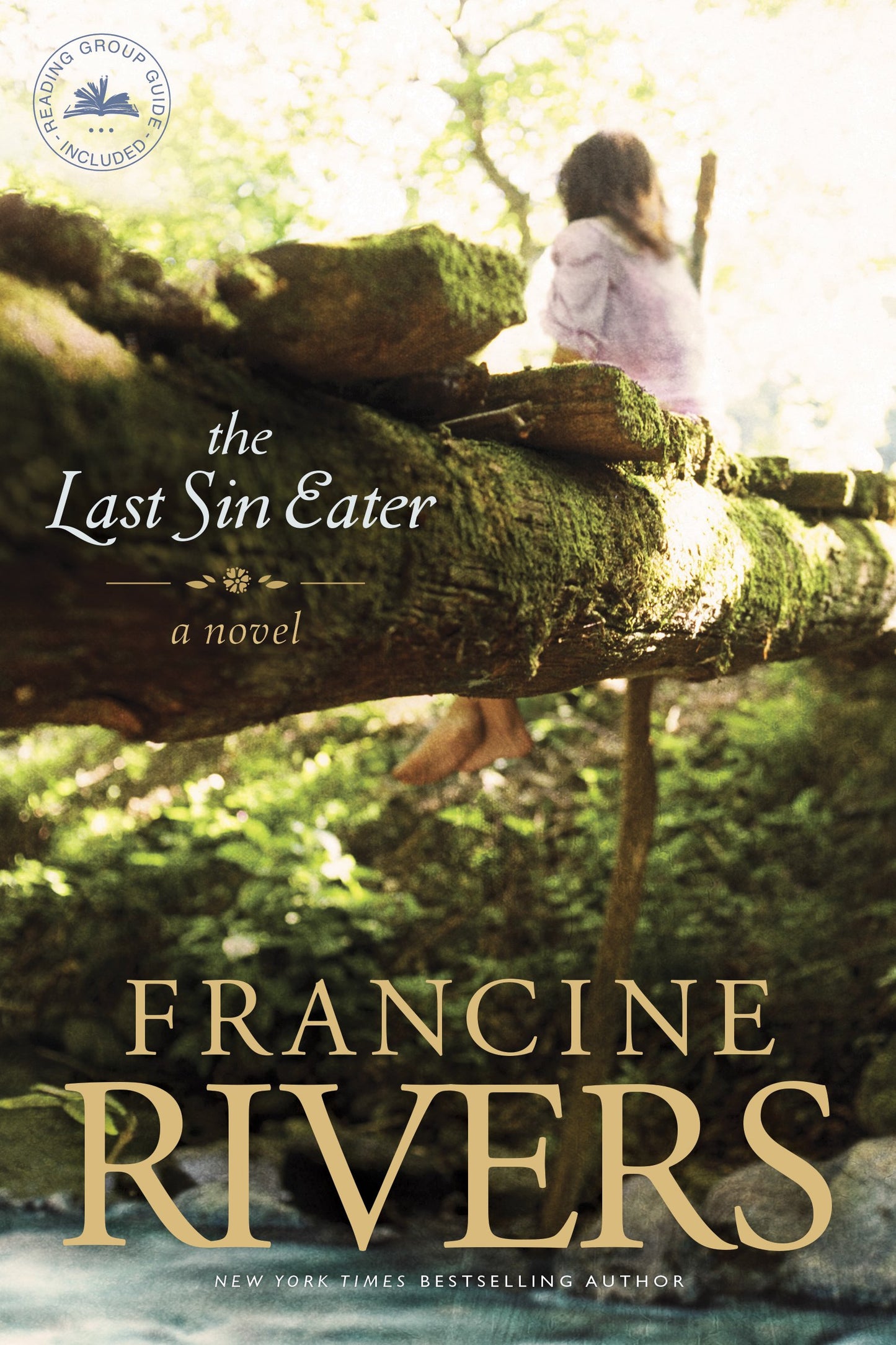 The Last Sin Eater: A Novel (A Captivating Historical Christian Fiction Story of Suffering, Seeking, and Redemption Set in Appalachia in the 1850s) The Happy Book Stack