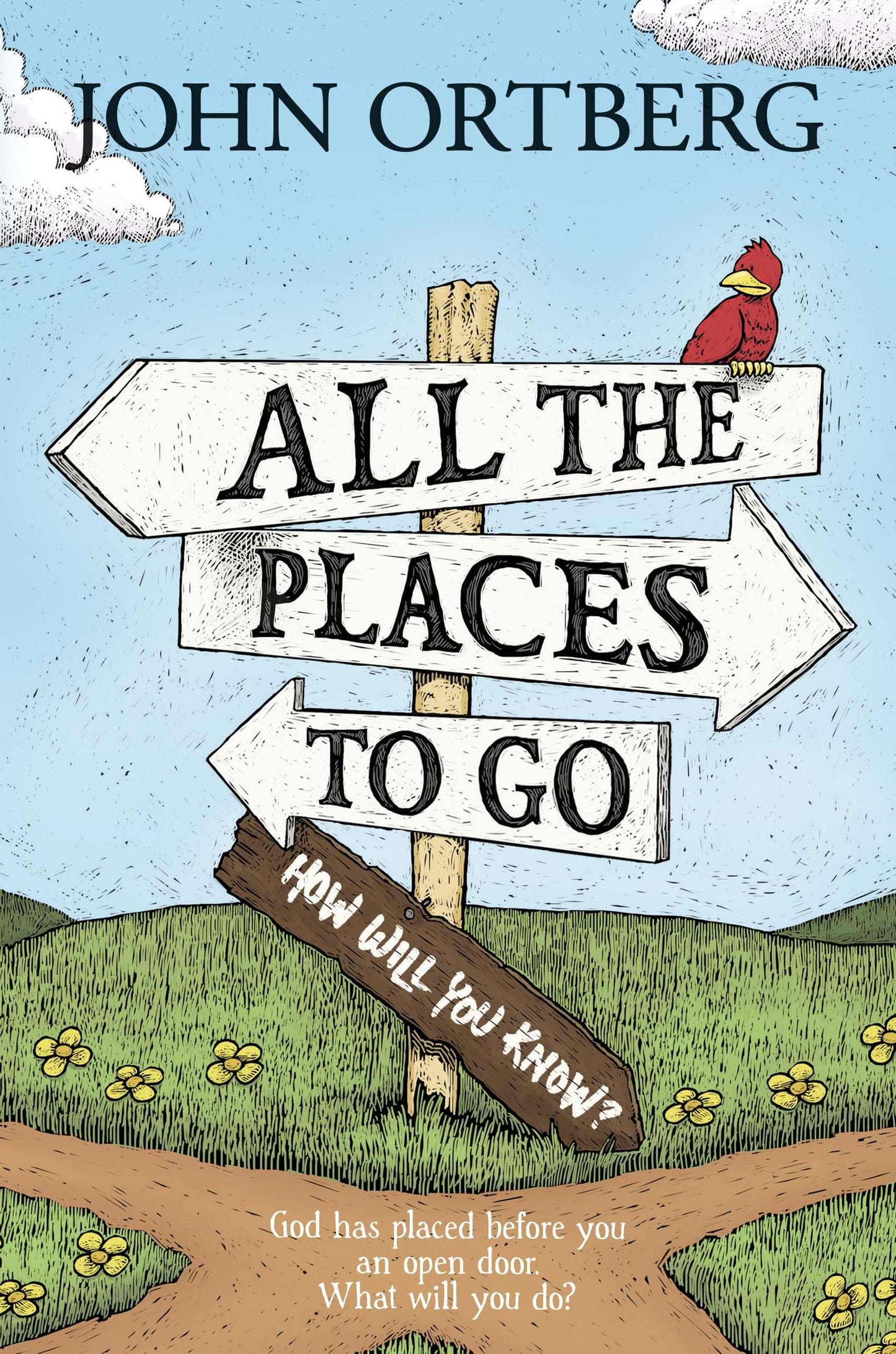 All the Places to Go . . . How Will You Know?: God Has Placed before You an Open Door. What Will You Do? - 8804