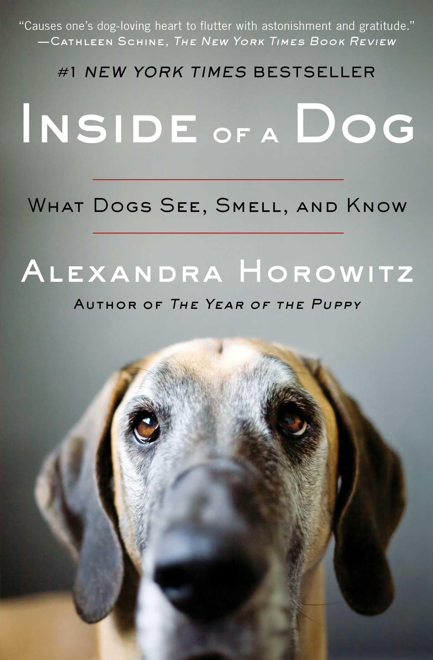Inside of a Dog: What Dogs See, Smell, and Know The Happy Book Stack