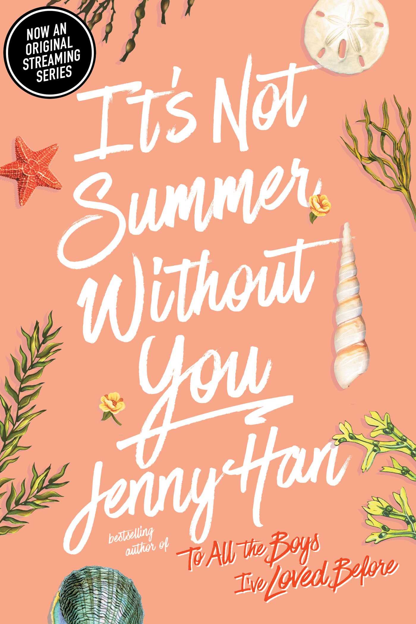 It's Not Summer Without You The Happy Book Stack