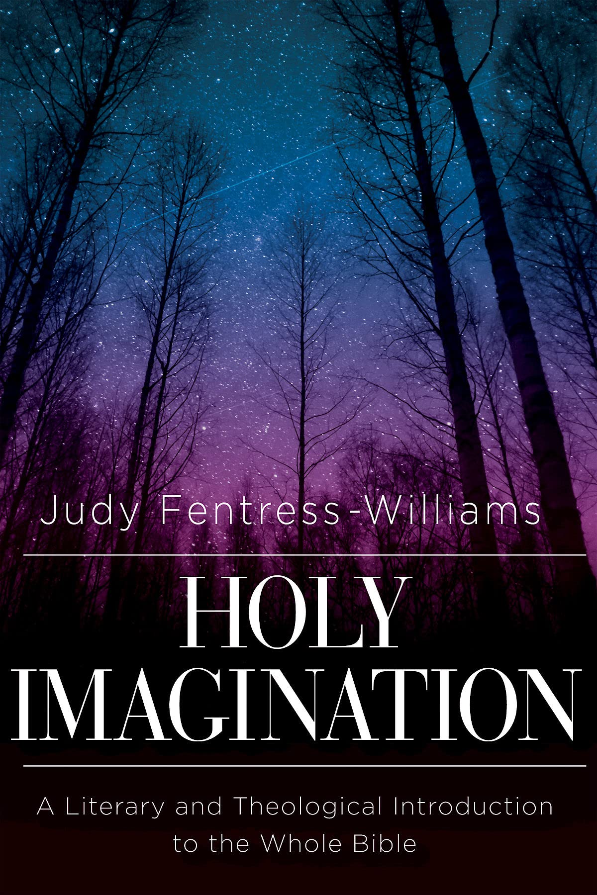 Holy Imagination: A Literary and Theological Introduction to the Whole Bible The Happy Book Stack