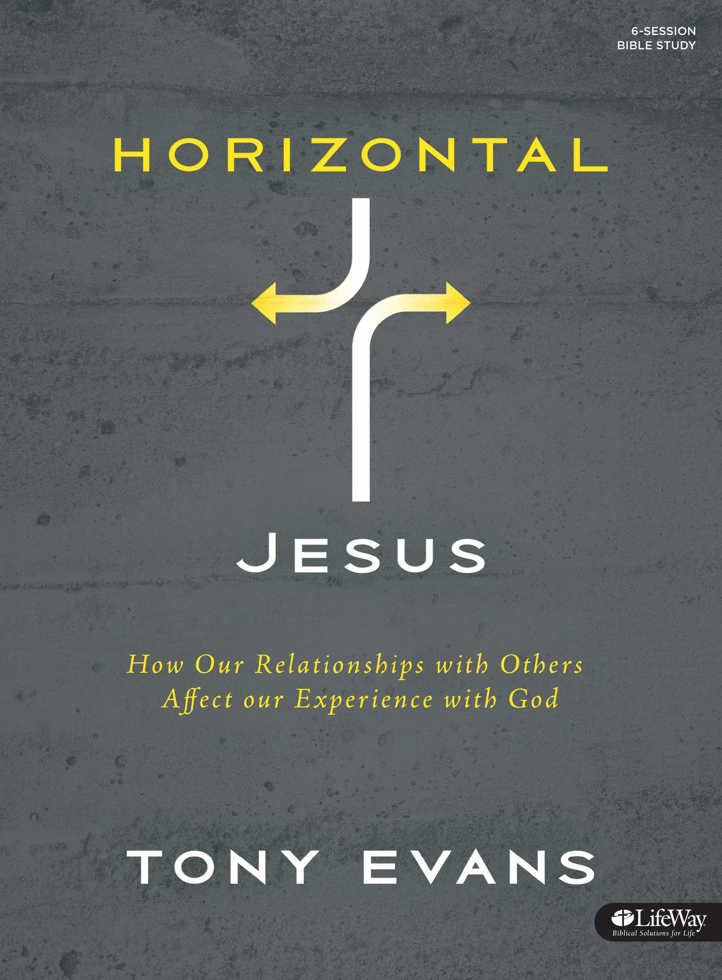 Horizontal Jesus (Bible Study Book): How Our Relationships with Others Affect Our Experience with God - 1532