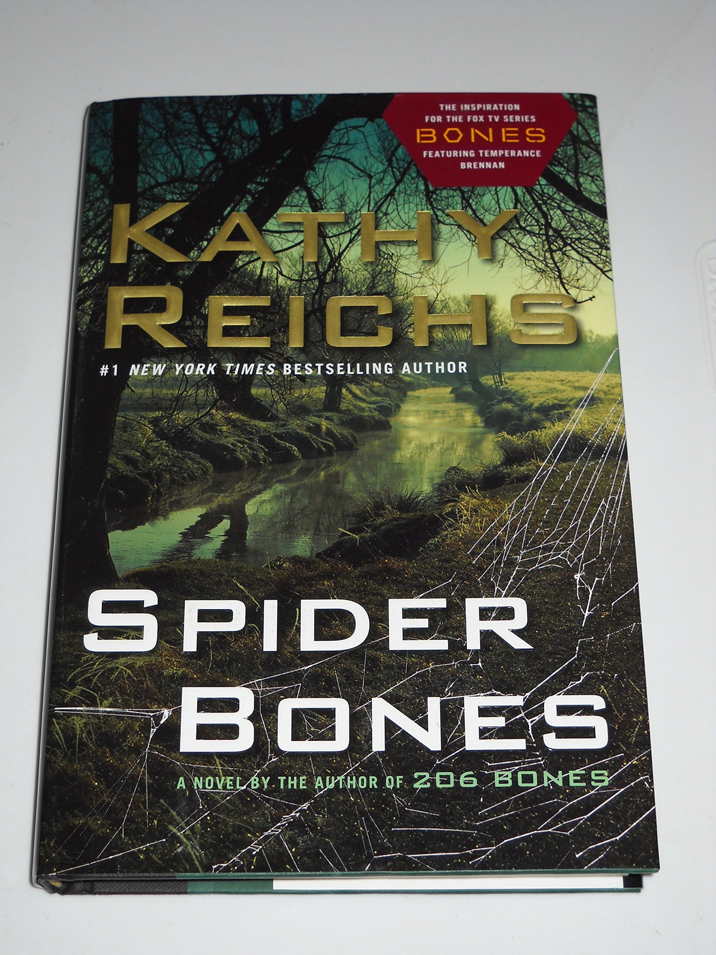 Spider Bones The Happy Book Stack