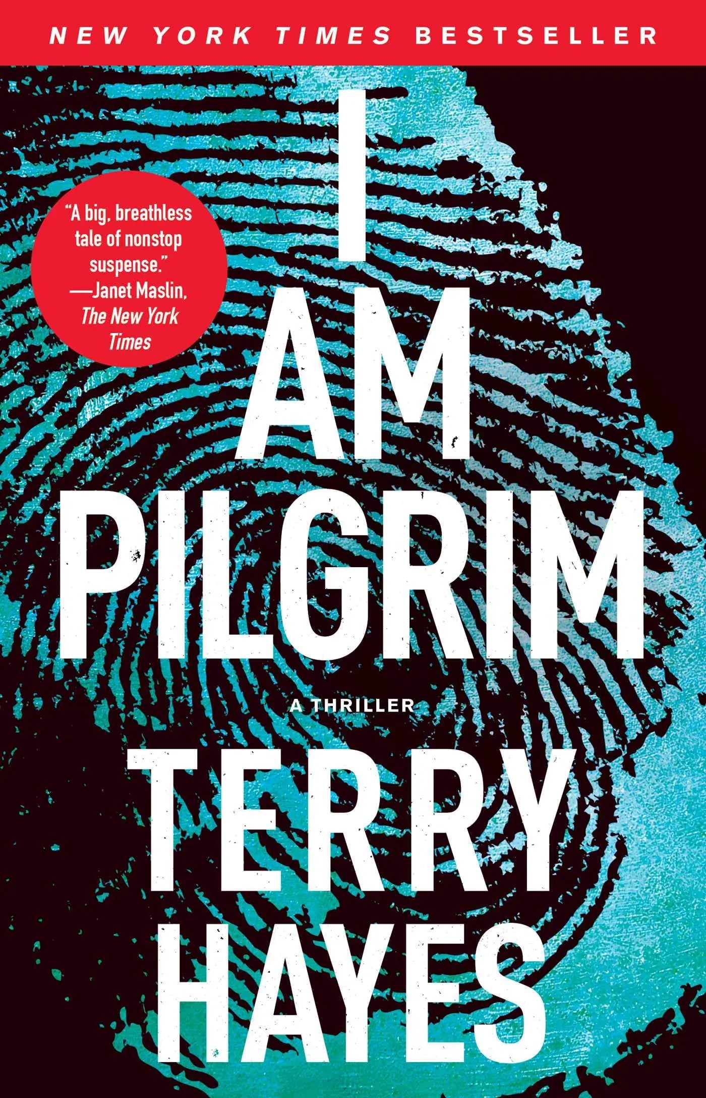 I Am Pilgrim: A Thriller The Happy Book Stack