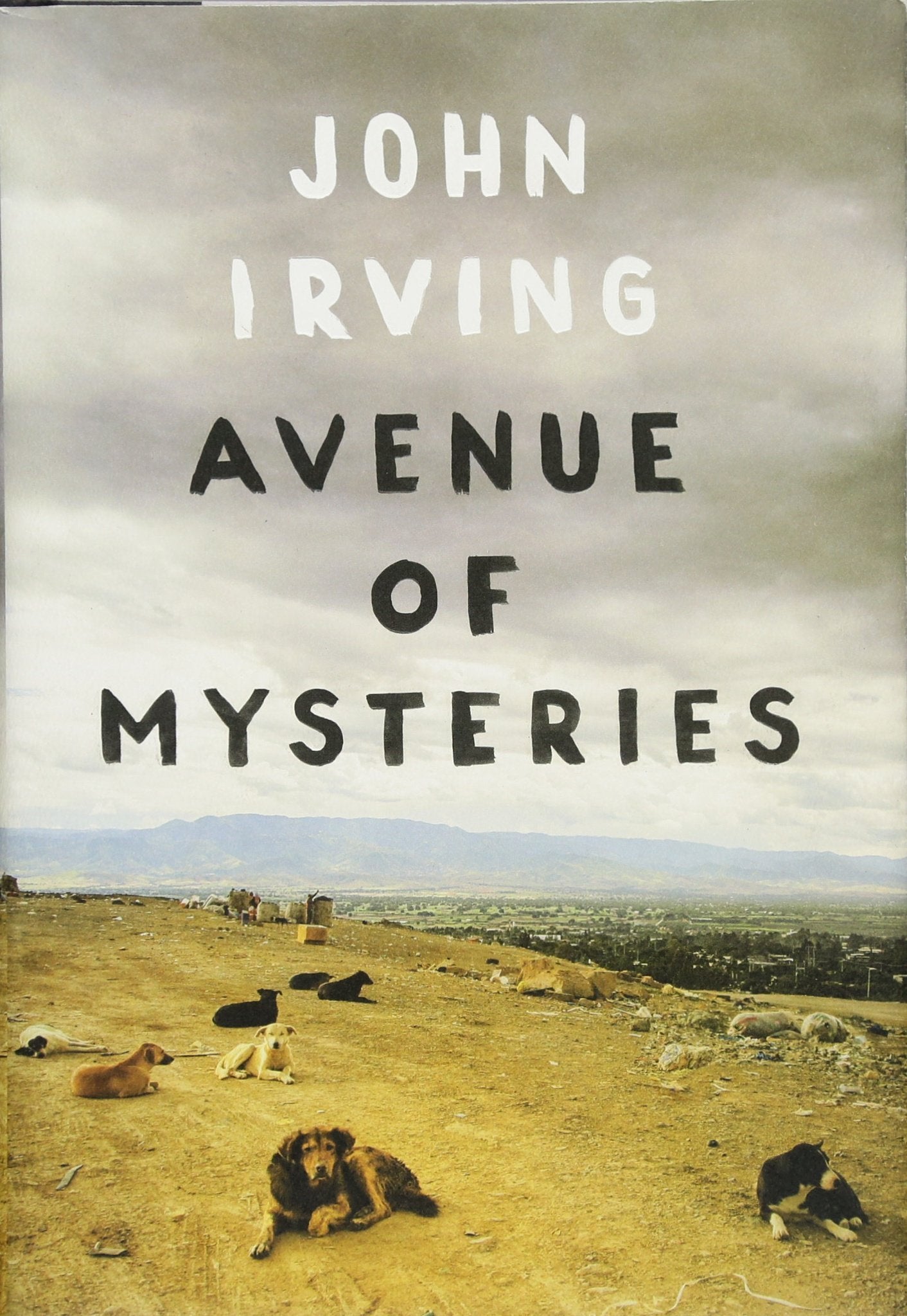 Avenue of Mysteries The Happy Book Stack