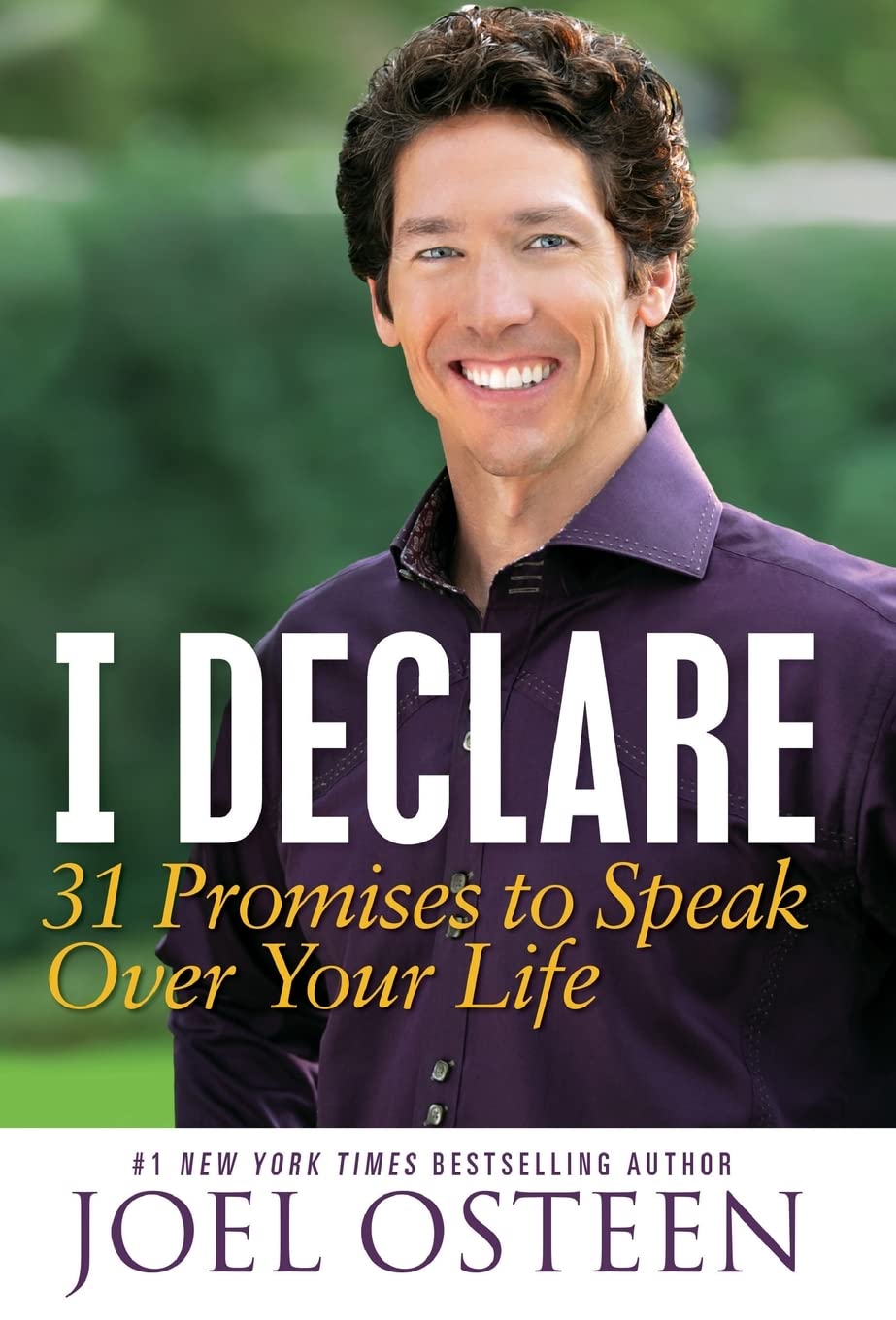 I Declare: 31 Promises to Speak Over Your Life - 6722