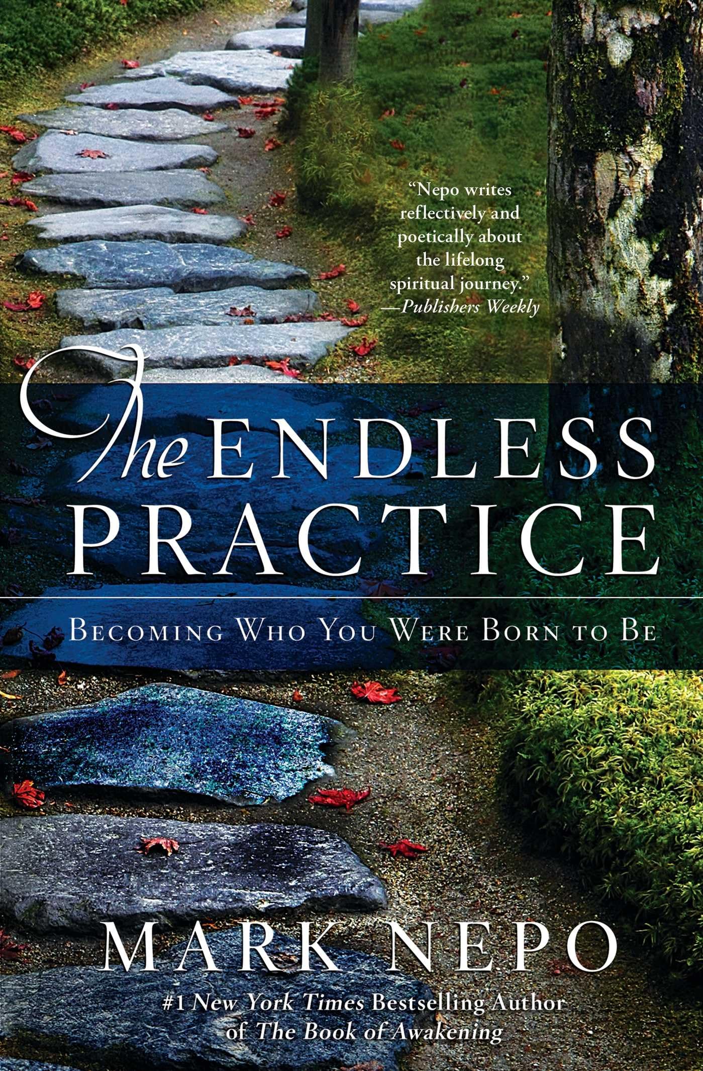 The Endless Practice: Becoming Who You Were Born to Be The Happy Book Stack