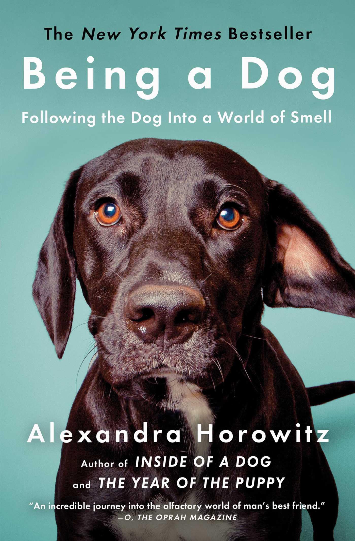 Being a Dog: Following the Dog Into a World of Smell The Happy Book Stack