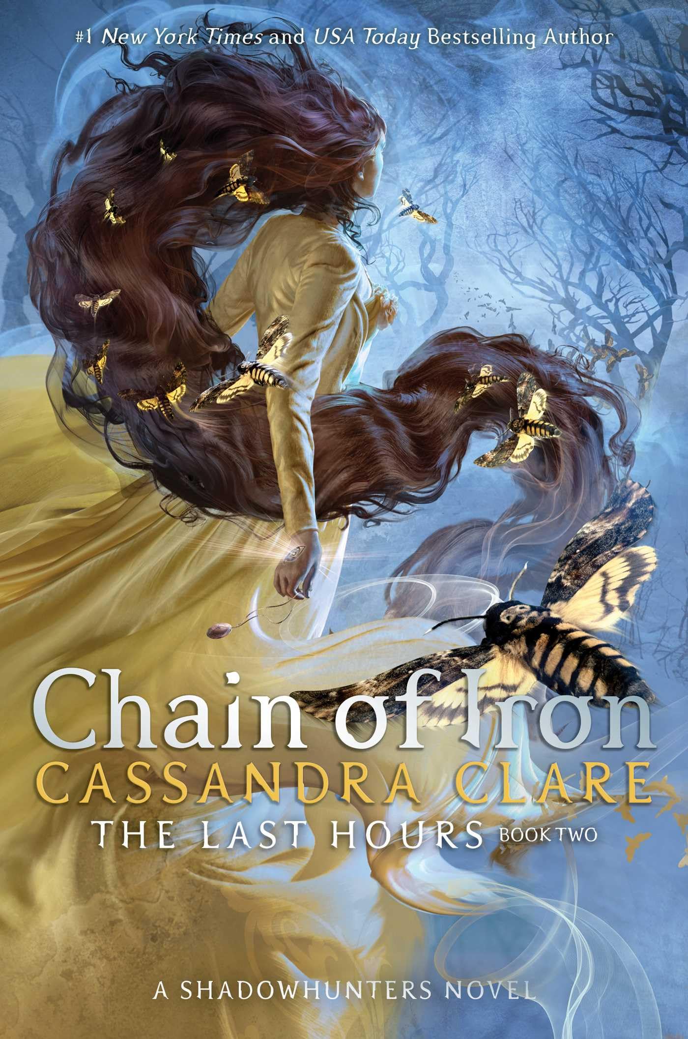 Chain of Iron (2) (The Last Hours) The Happy Book Stack