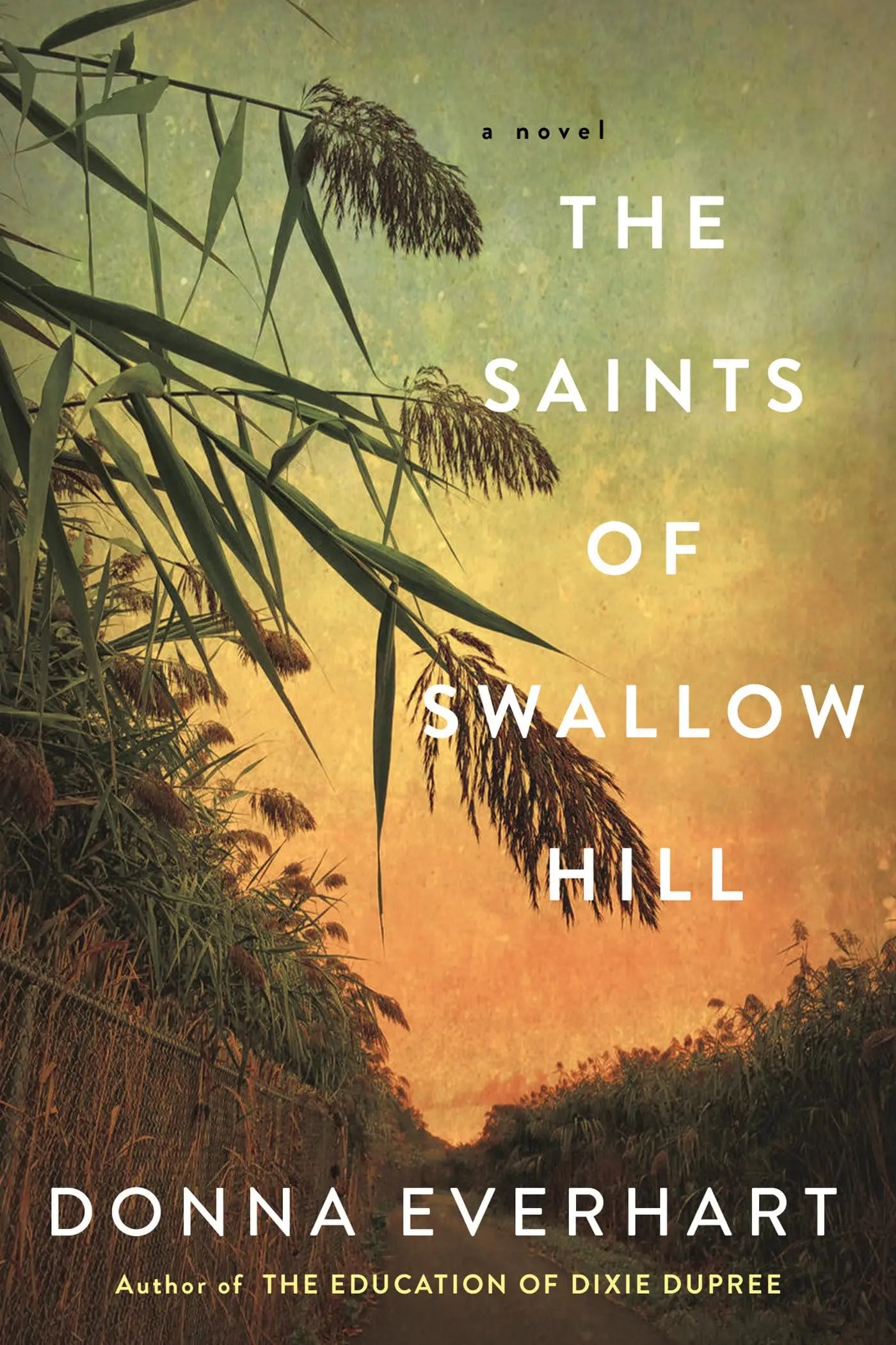 The Saints of Swallow Hill: A Fascinating Depression Era Historical Novel The Happy Book Stack