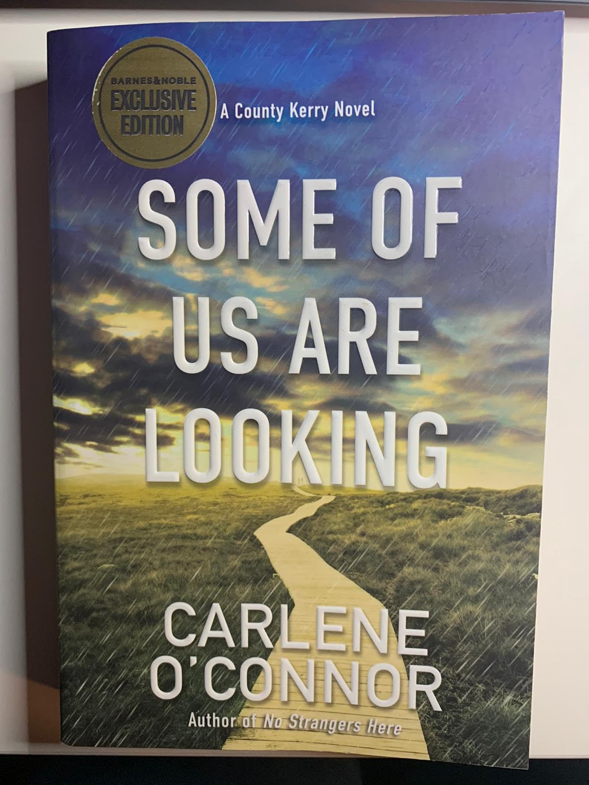 Some Of Us Are looking by Carlene O'Connor The Happy Book Stack