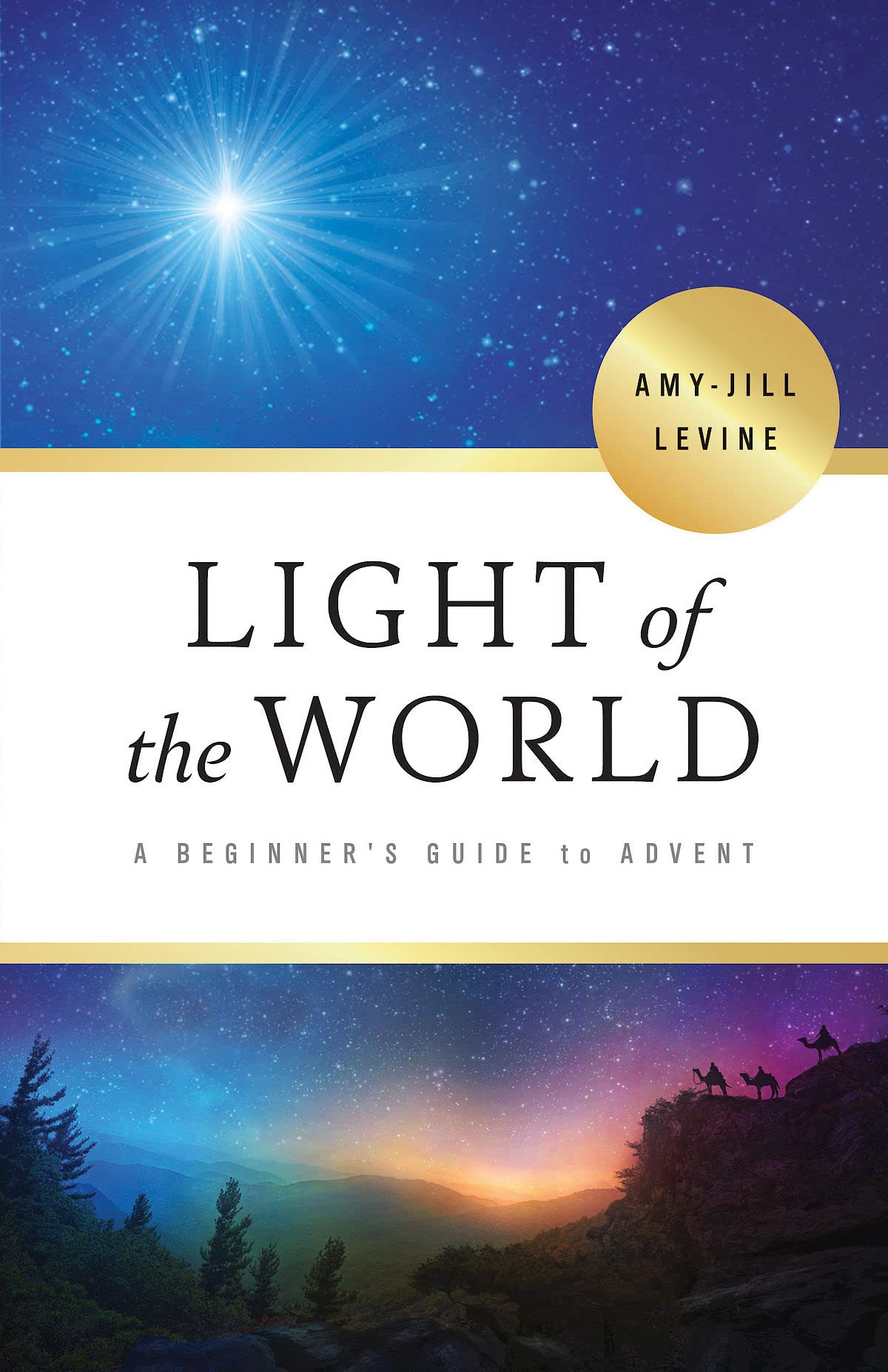 Light of the World: A Beginner's Guide to Advent The Happy Book Stack