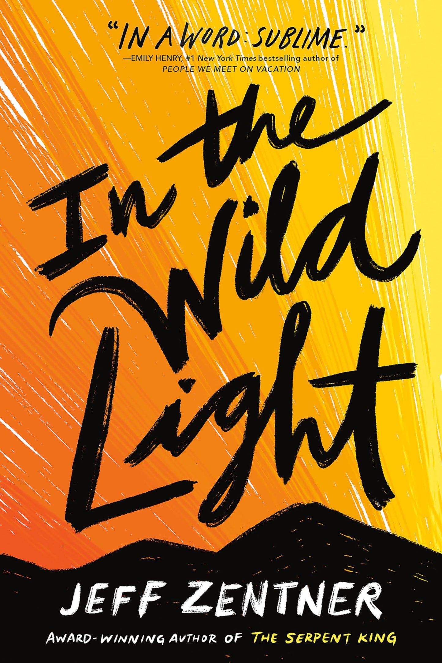 In the Wild Light The Happy Book Stack