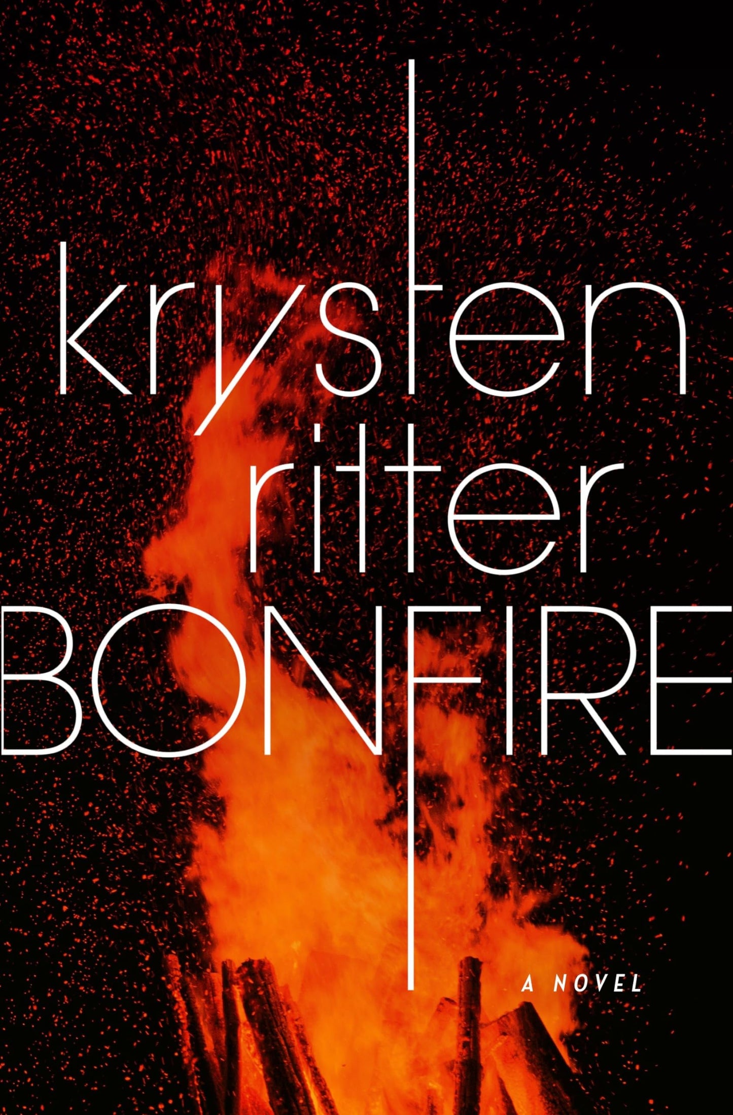 Bonfire: A Novel The Happy Book Stack