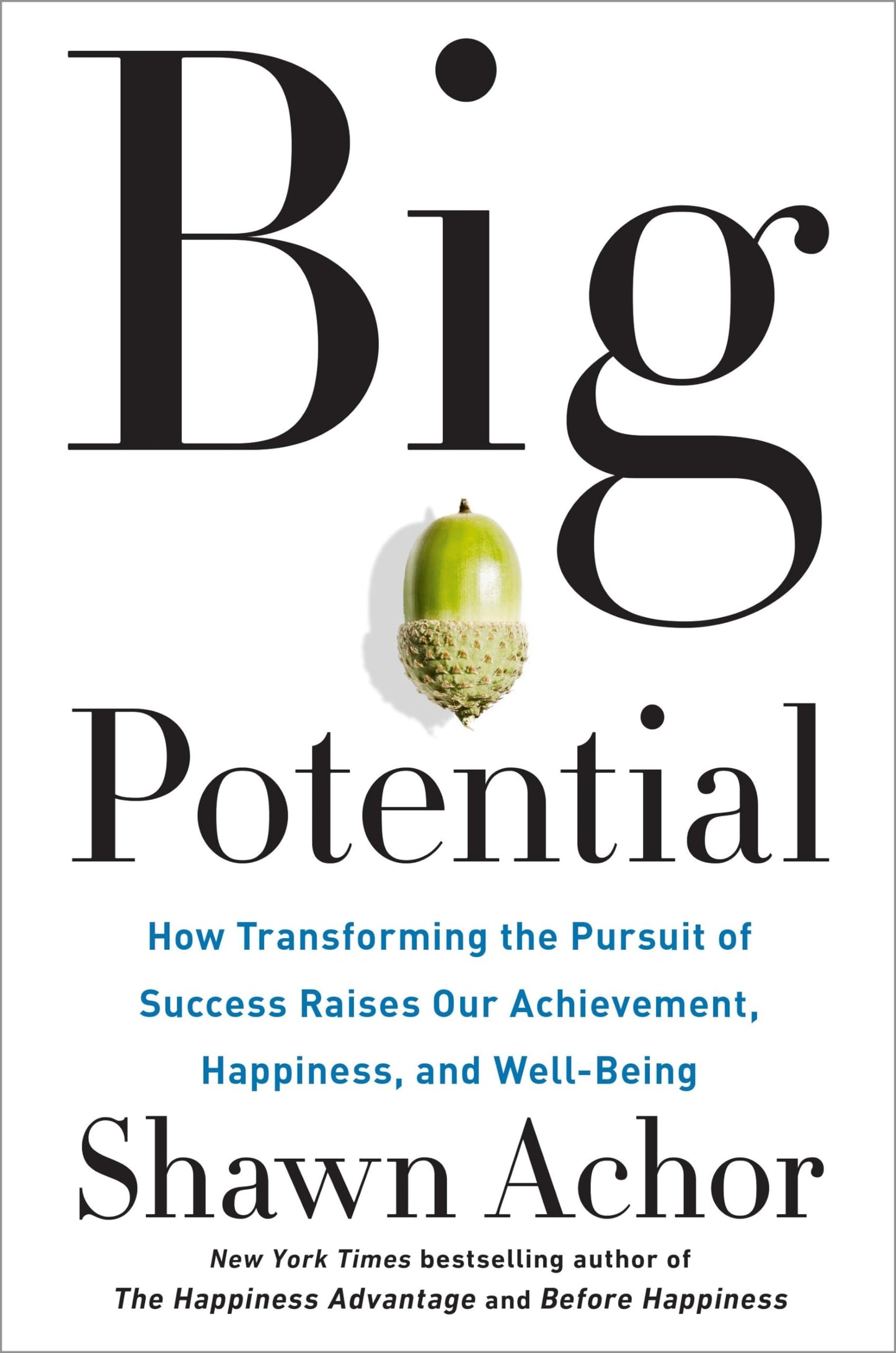 Big Potential: How Transforming the Pursuit of Success Raises Our Achievement, Happiness, and Well-Being The Happy Book Stack