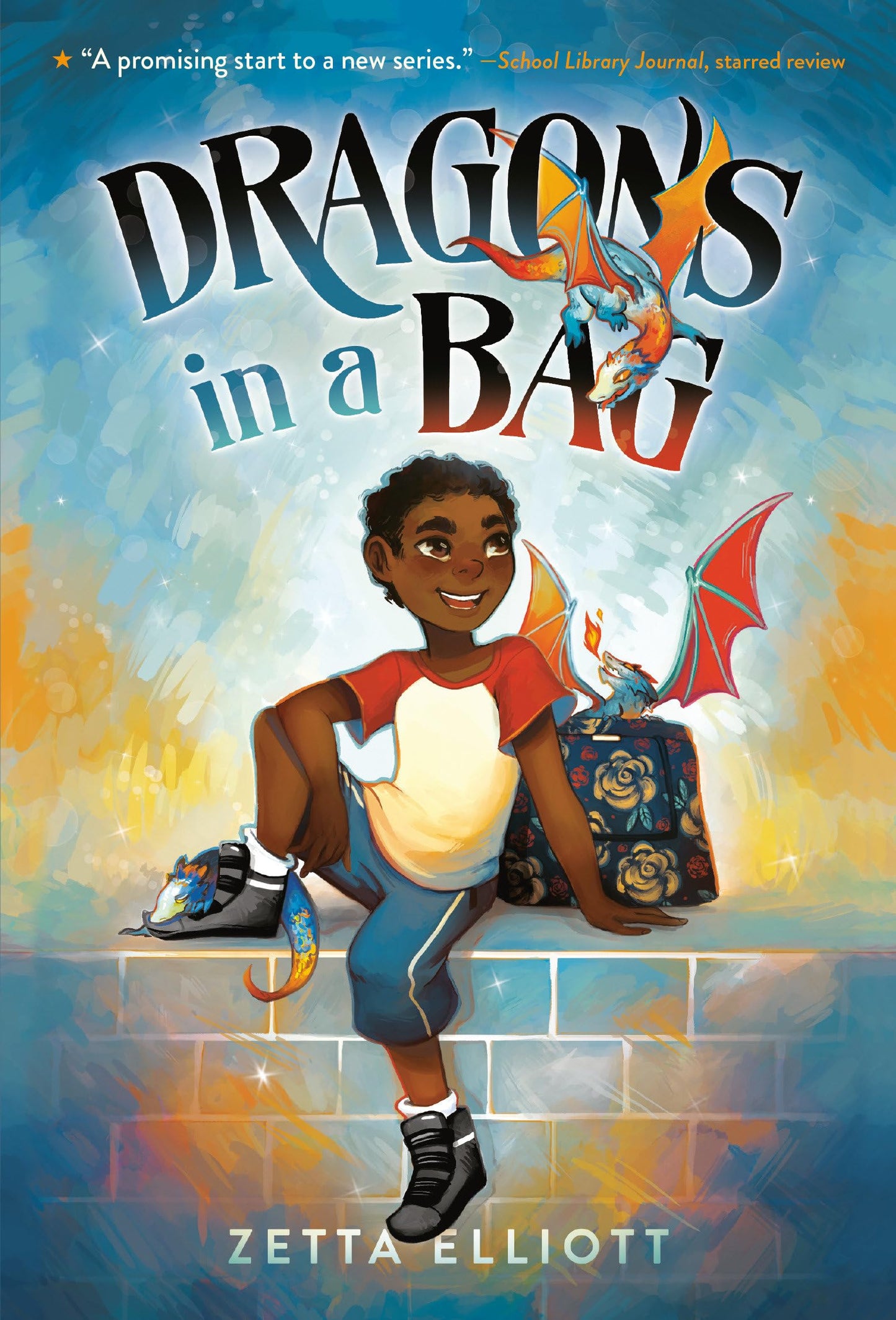Dragons in a Bag The Happy Book Stack