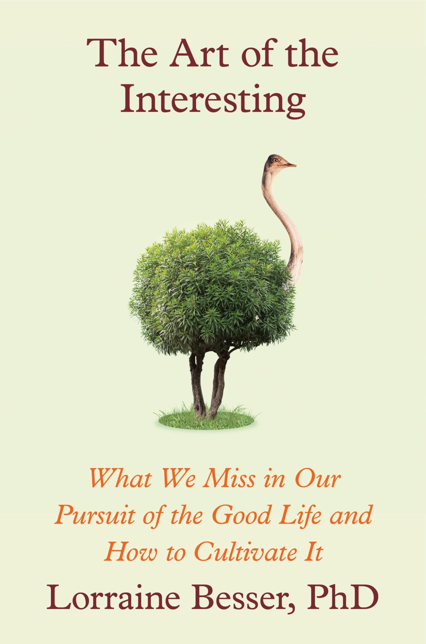 The Art of the Interesting: What We Miss in Our Pursuit of the Good Life and How to Cultivate It - 9052