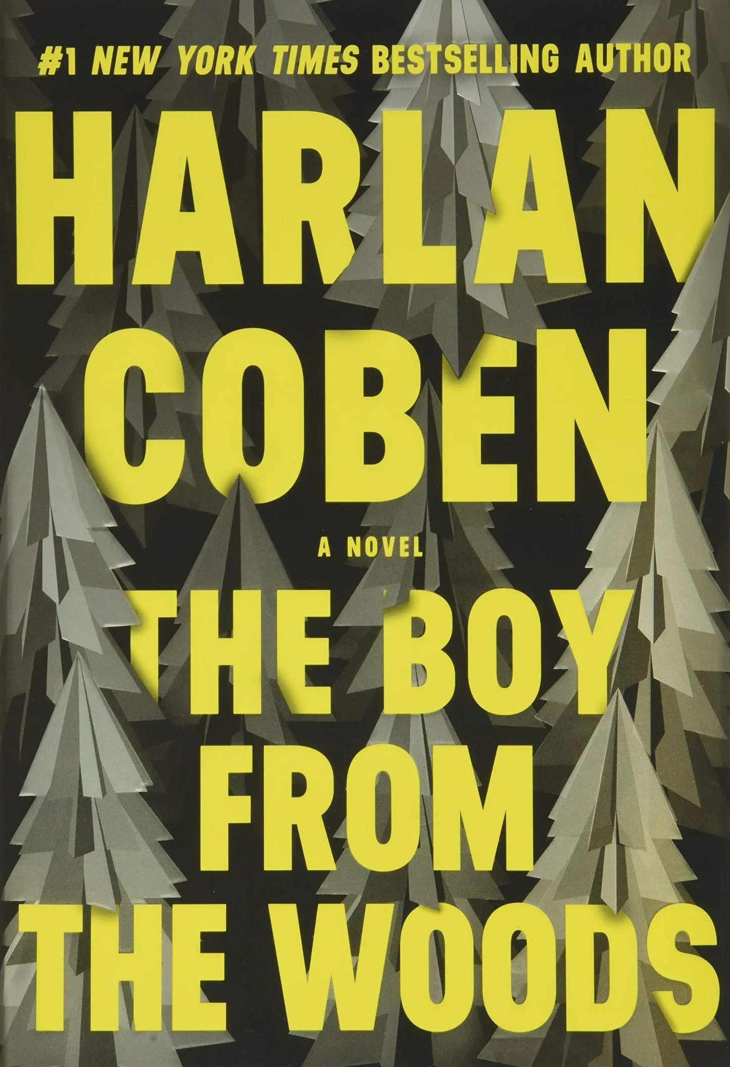 The Boy from the Woods The Happy Book Stack