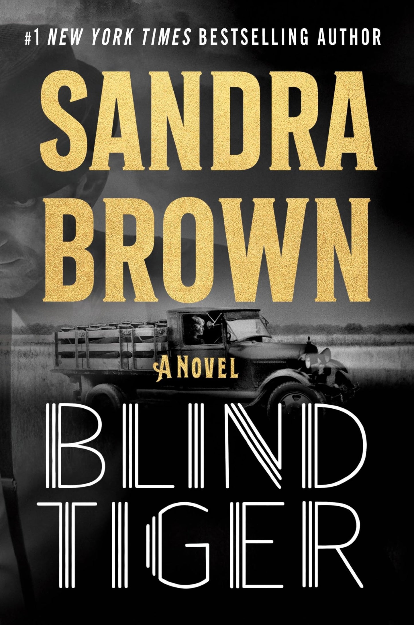 Blind Tiger The Happy Book Stack