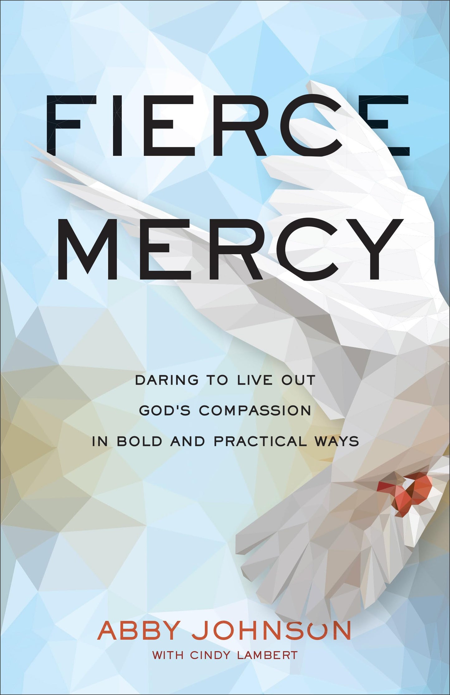 Fierce Mercy: Daring to Live Out God's Compassion in Bold and Practical Ways The Happy Book Stack