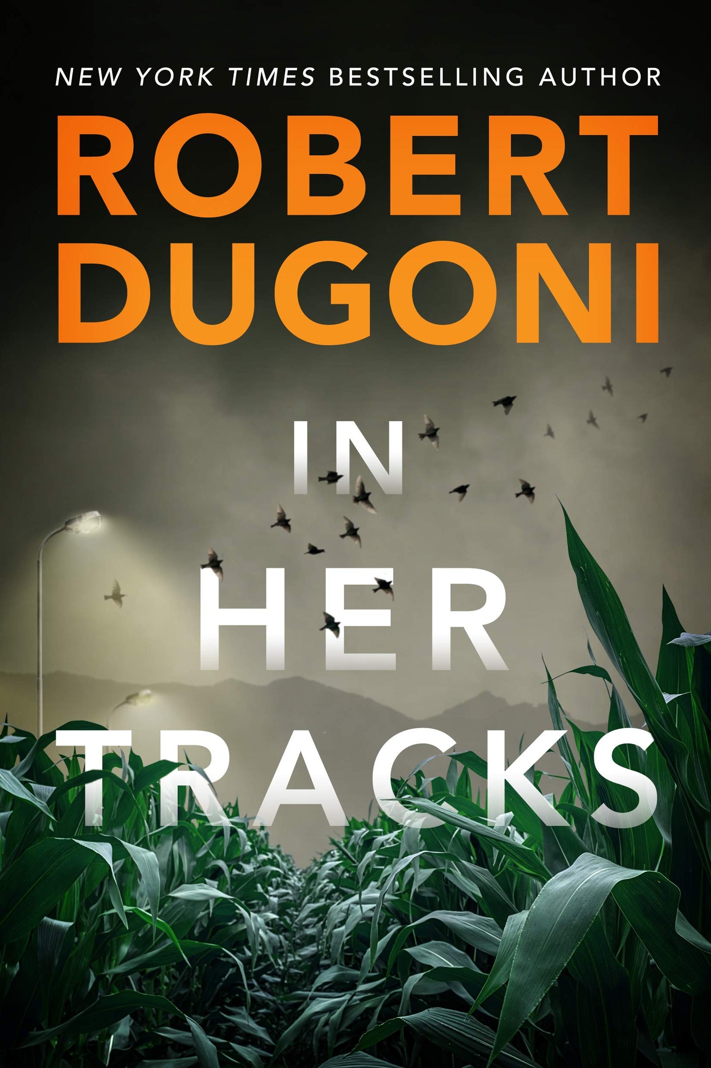 In Her Tracks The Happy Book Stack