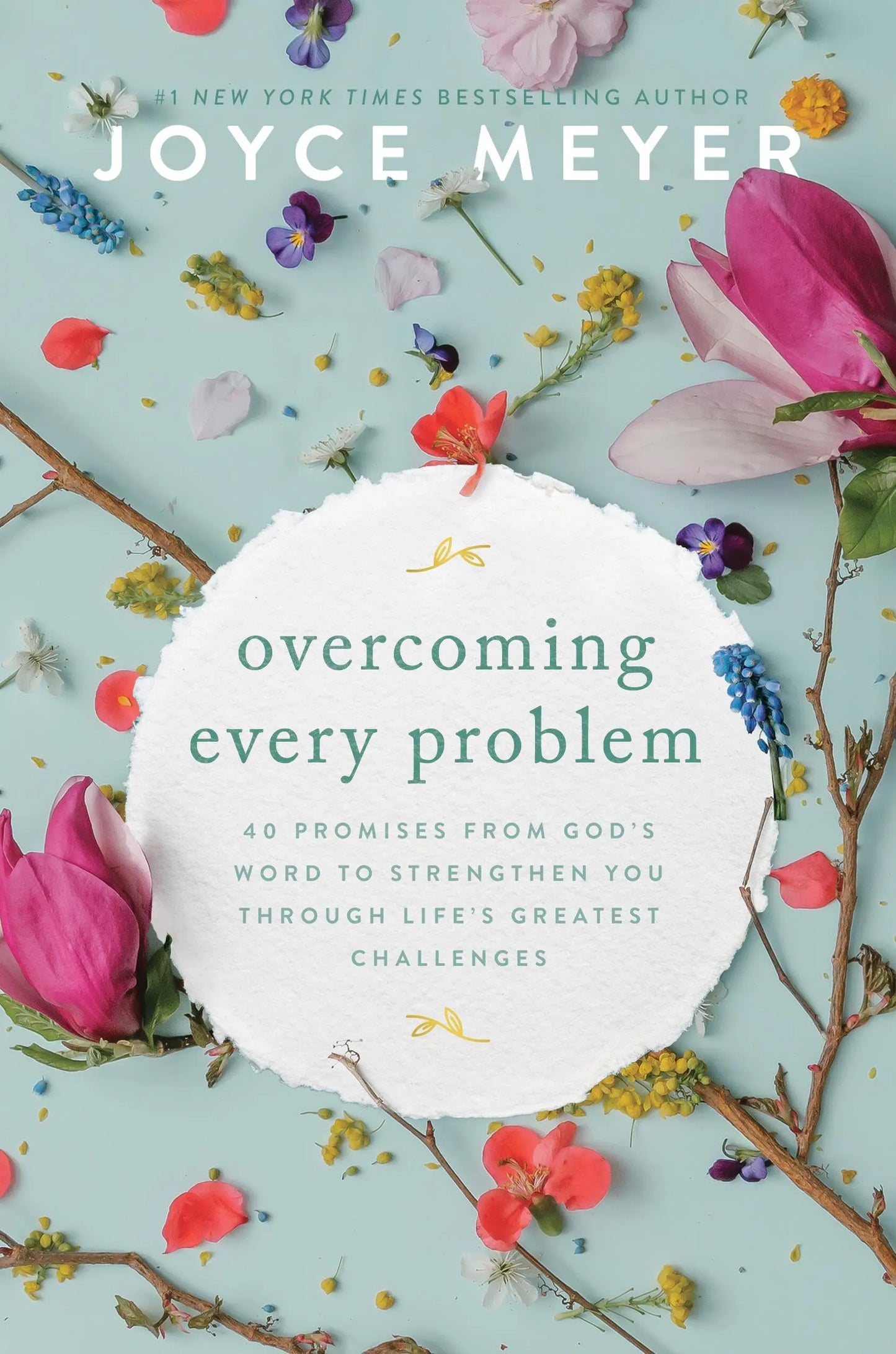 Overcoming Every Problem: 40 Promises from Gods Word to Strengthen You Through Lifes Greatest Challenges The Happy Book Stack