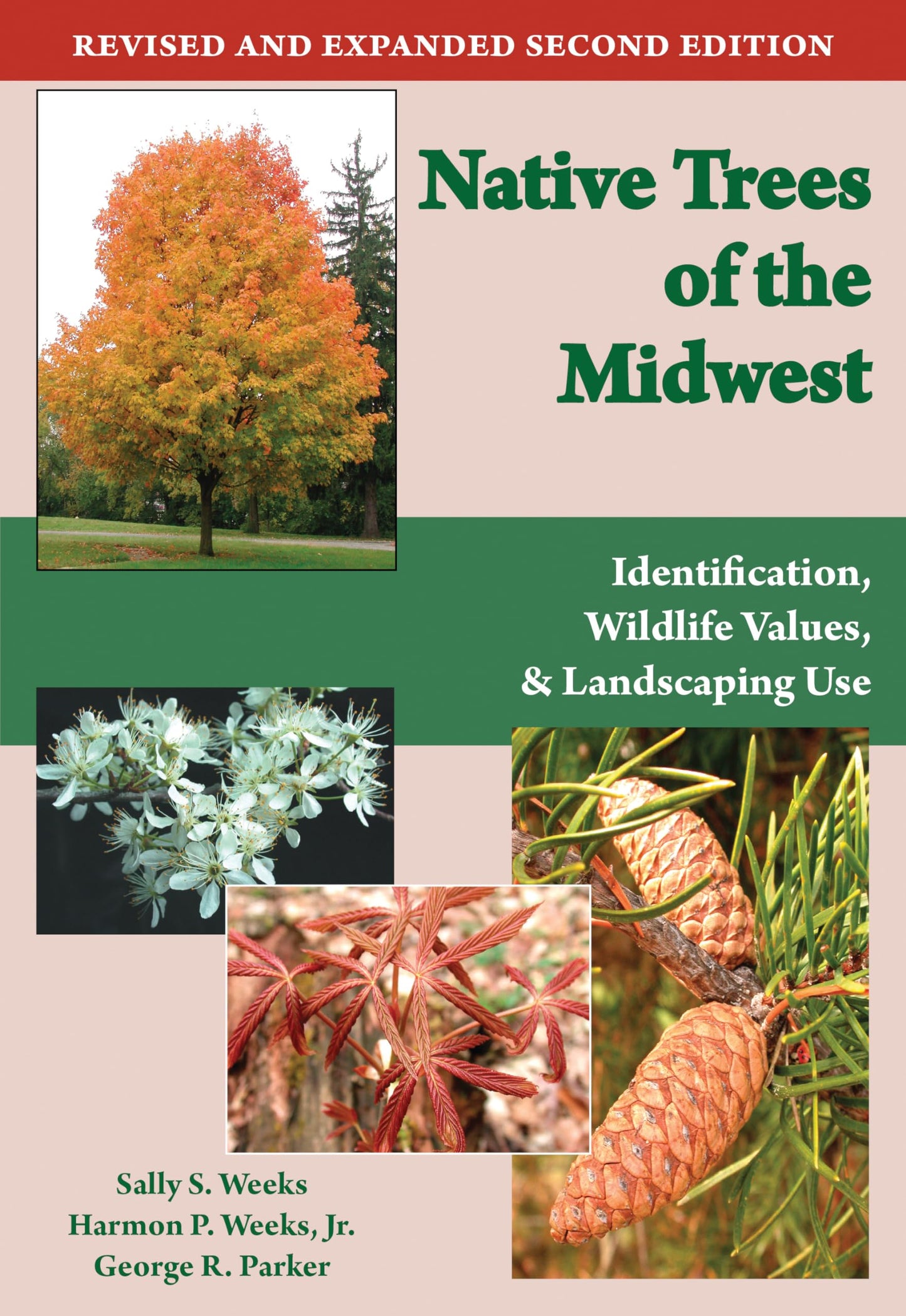 Native Trees of the Midwest: Identification, Wildlife Value, and Landscaping Use The Happy Book Stack