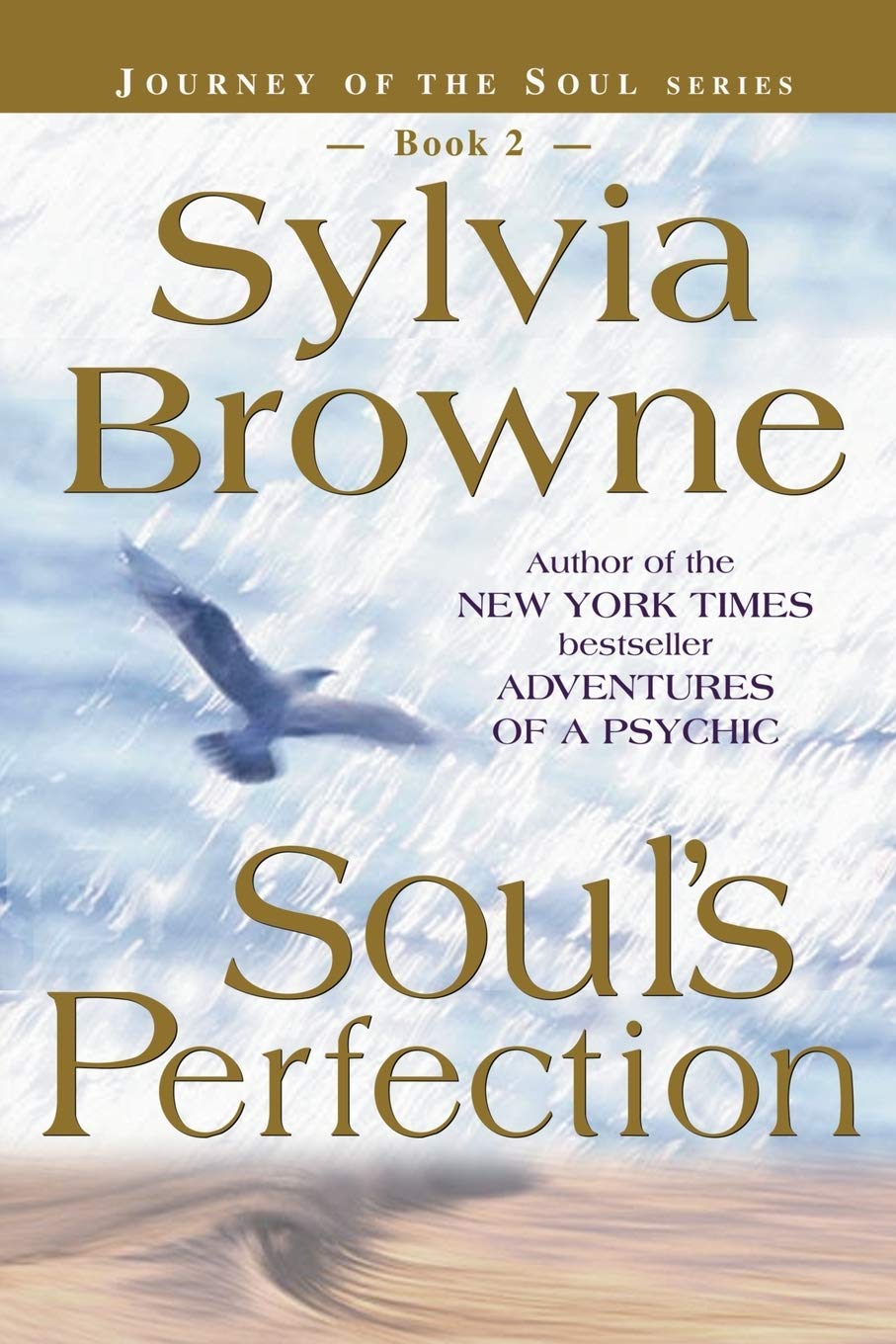 Soul's Perfection (Journey of the Soul's Service, Book 2) The Happy Book Stack