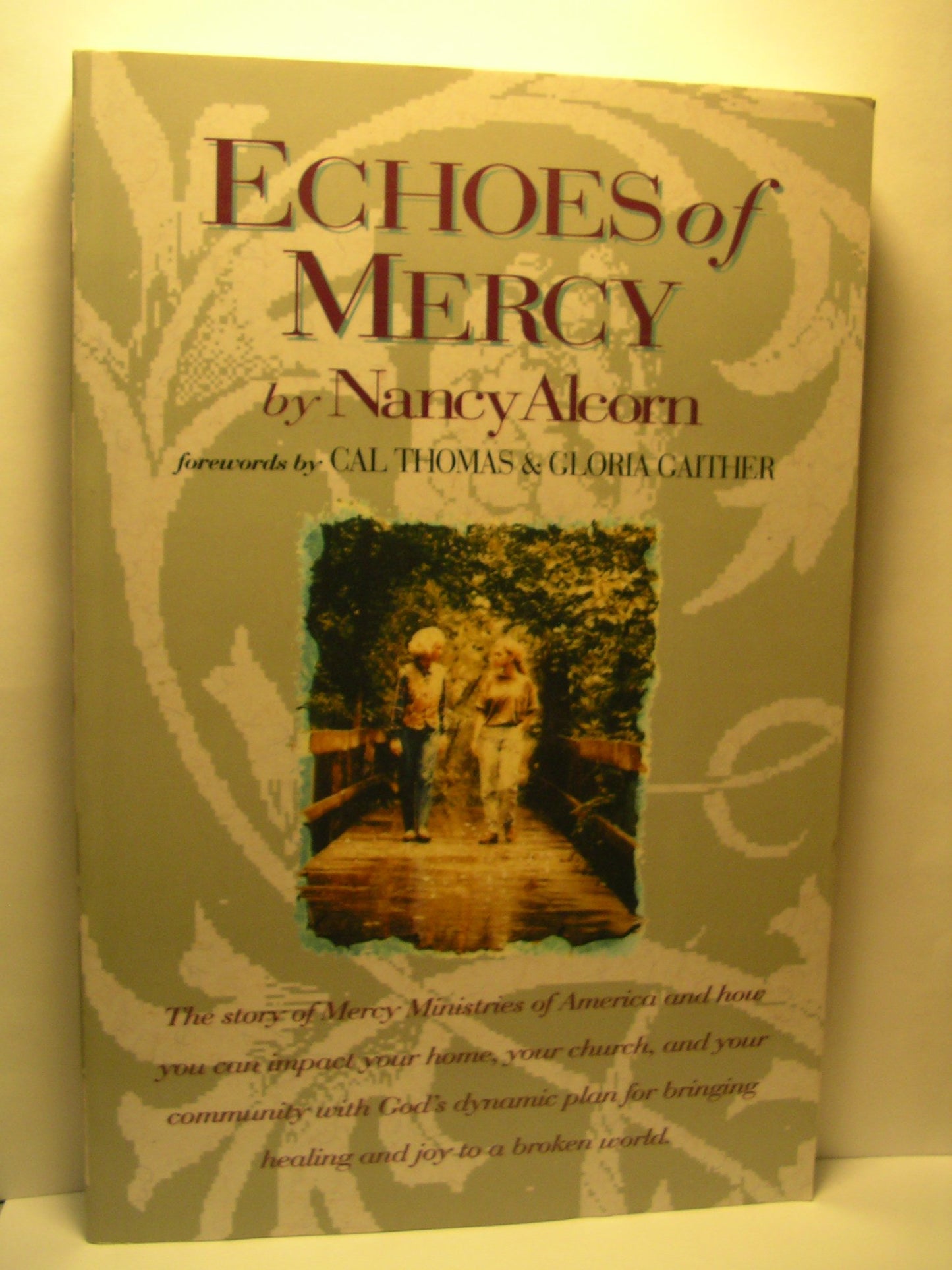 Echoes of Mercy The Happy Book Stack