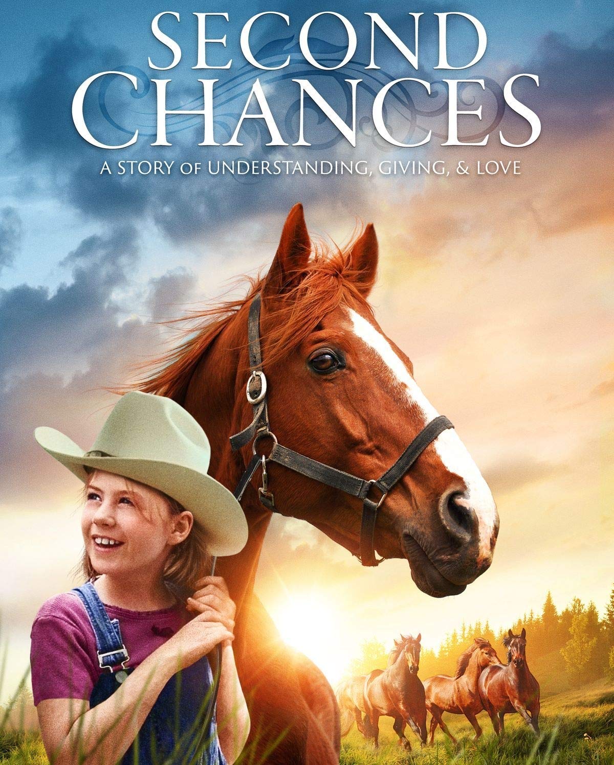Second Chances DVD The Happy Book Stack