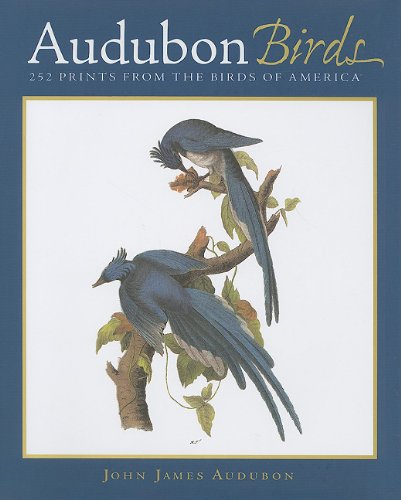 Audubon Birds: 252 Prints from the Birds of America - 4639