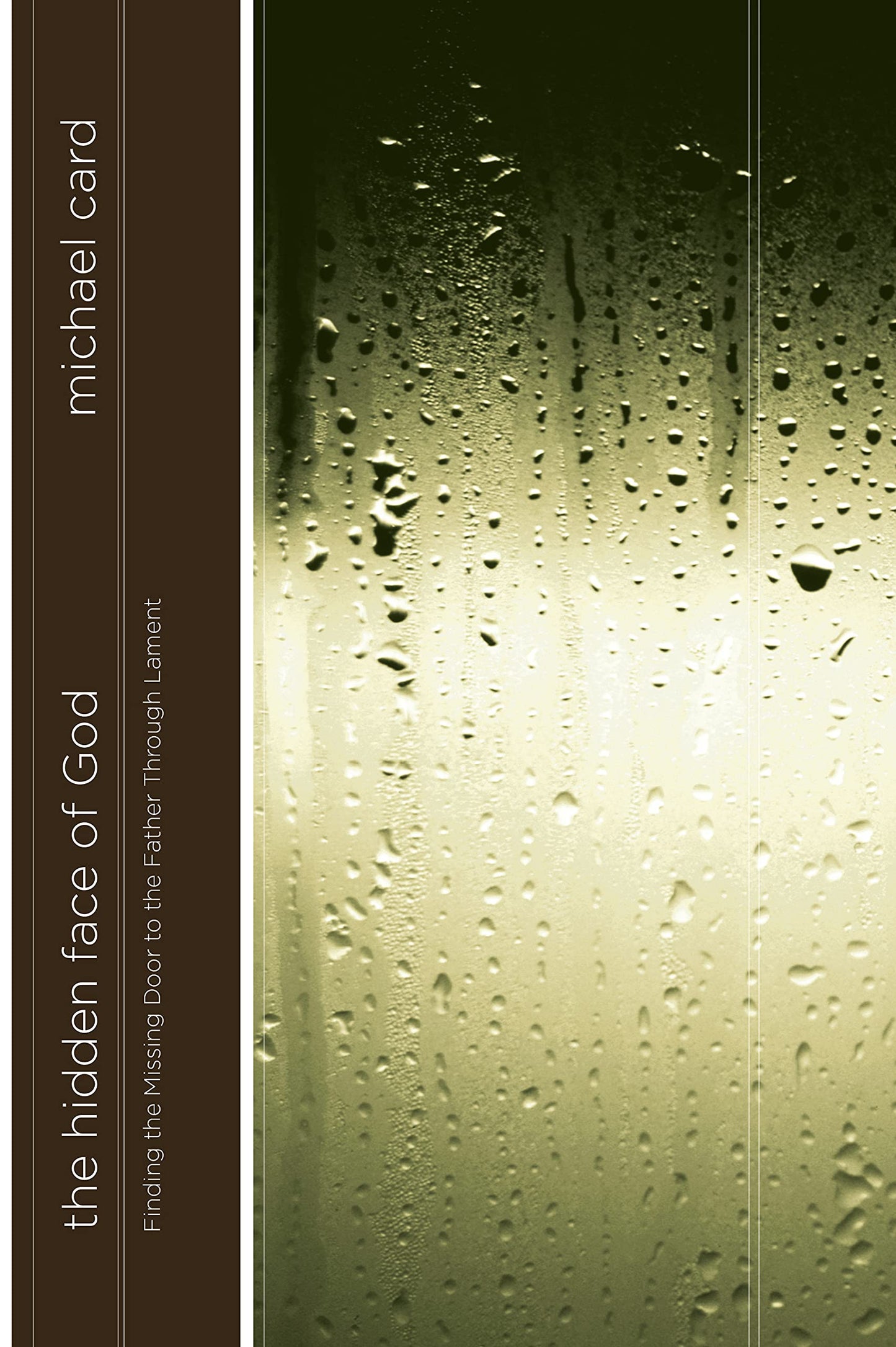 The Hidden Face of God: Finding the Missing Door to the Father Through Lament The Happy Book Stack