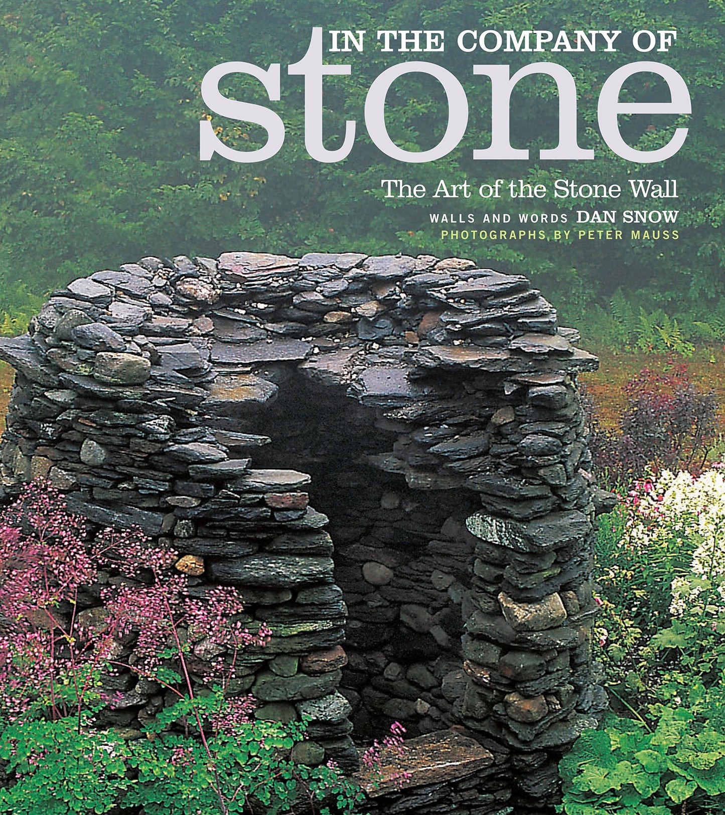 In the Company of Stone - 454