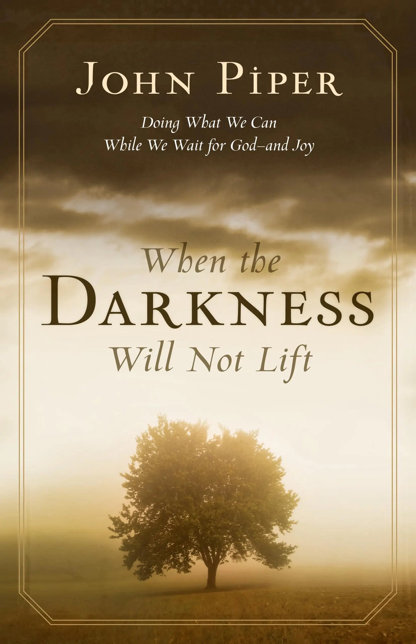 When the Darkness Will Not Lift: Doing What We Can While We Wait for God--and Joy The Happy Book Stack