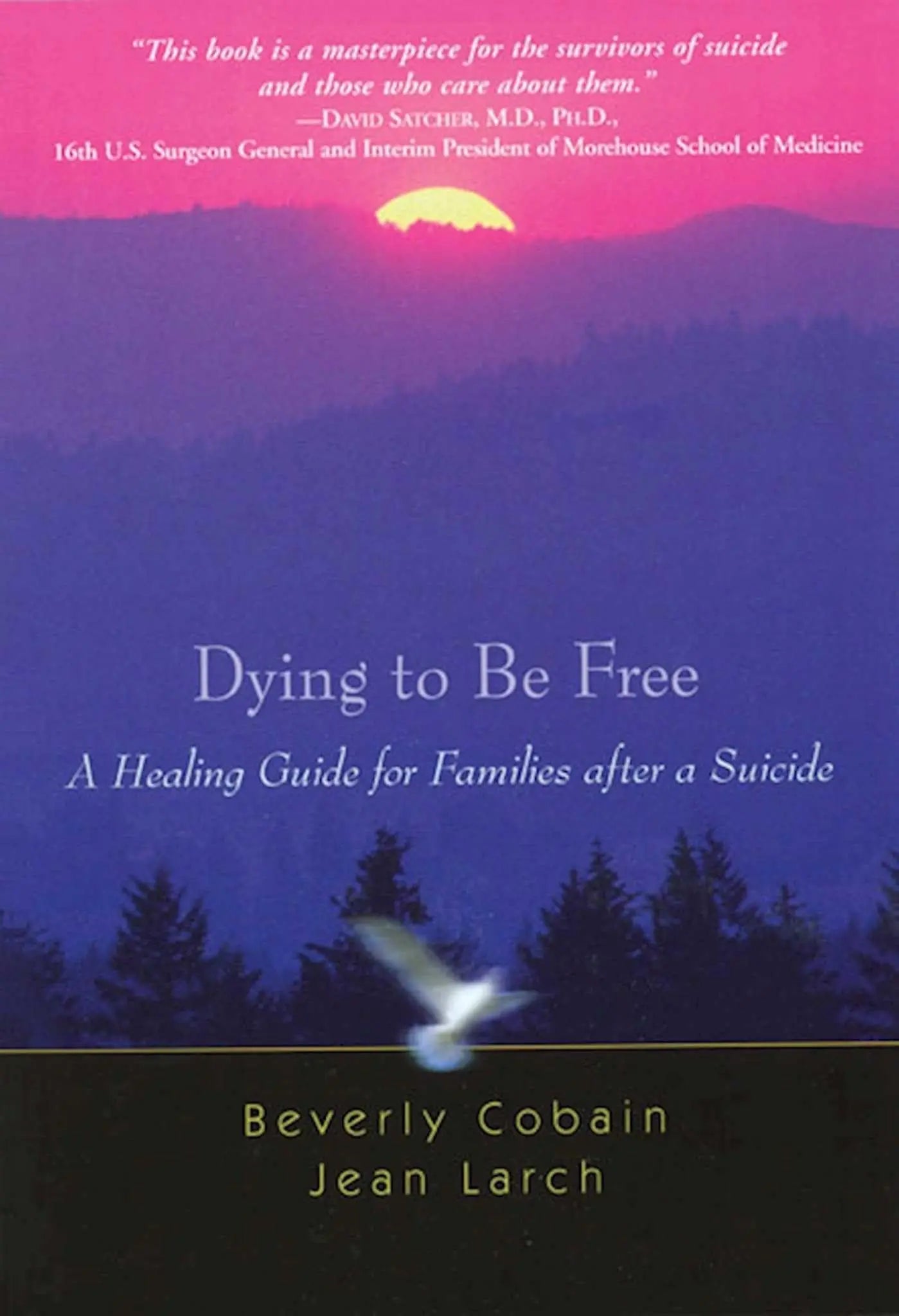 Dying to Be Free: A Healing Guide for Families After a Suicide The Happy Book Stack