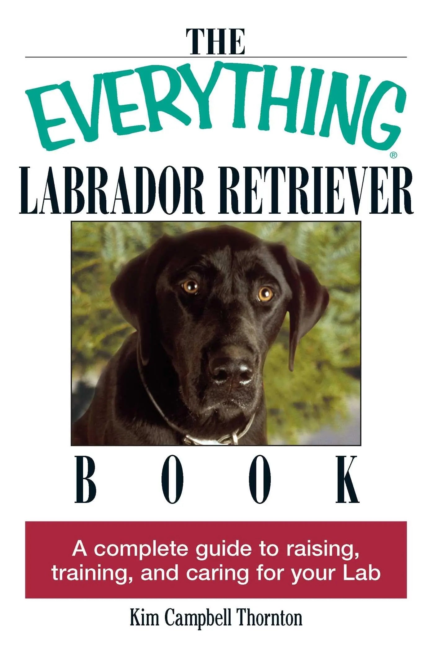 The Everything Labrador Retriever Book: A Complete Guide to Raising, Training, and Caring for Your Lab (Everything Series) The Happy Book Stack