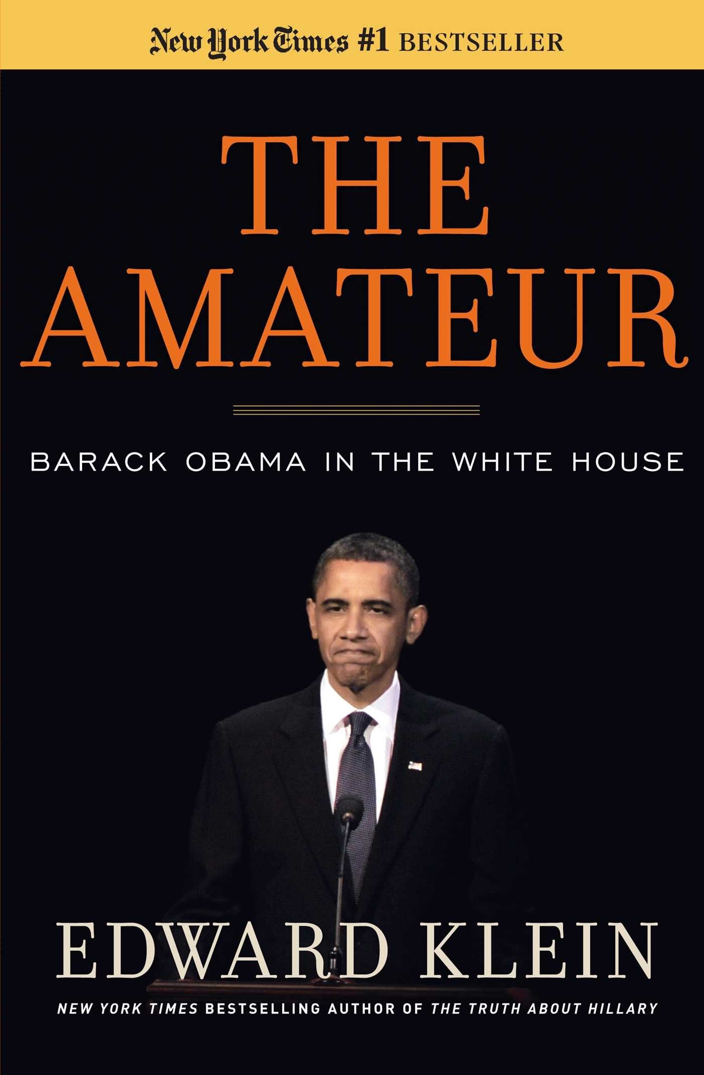 The Amateur The Happy Book Stack