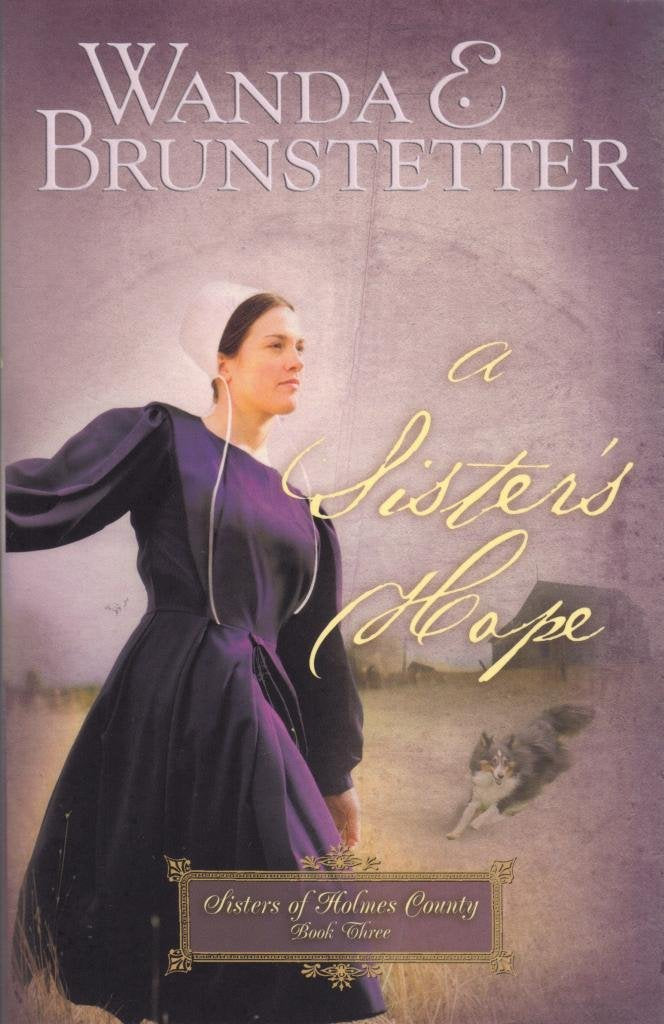 A Sister's Hope (Sisters of Holmes County, Book 3) The Happy Book Stack