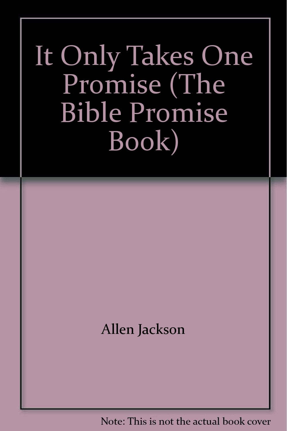 It Only Takes One Promise (The Bible Promise Book) - 743