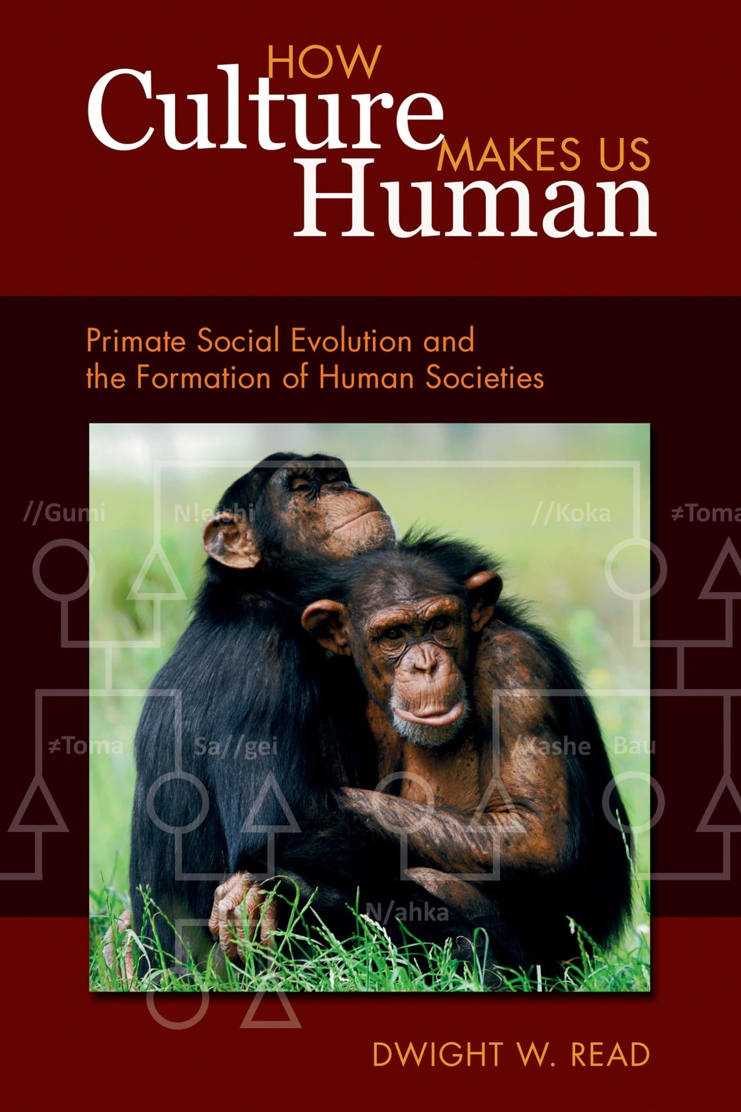 How Culture Makes Us Human: Primate Social Evolution and the Formation of Human Societies (Key Questions in Anthropology) - 7400