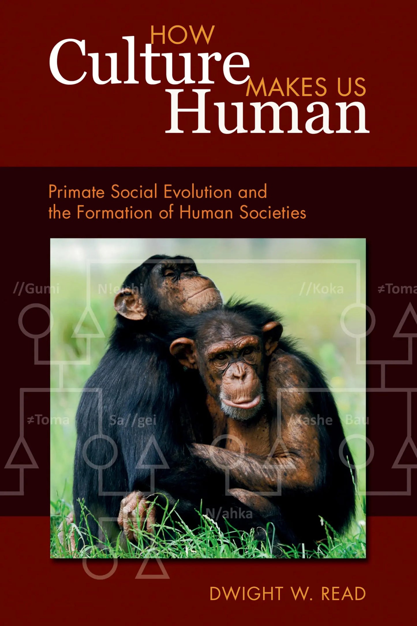 How Culture Makes Us Human: Primate Social Evolution and the Formation of Human Societies (Key Questions in Anthropology) The Happy Book Stack