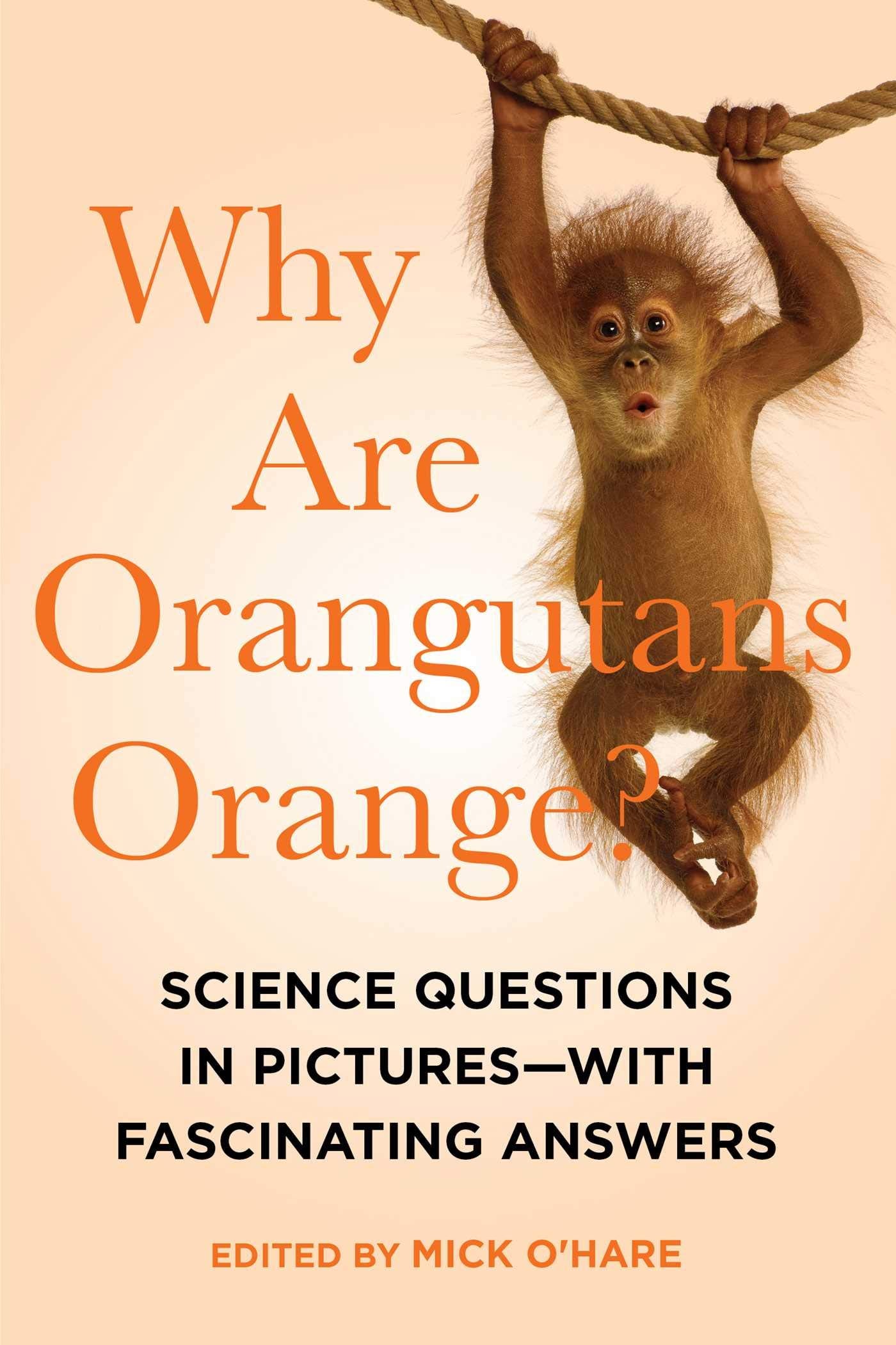 Why Are Orangutans Orange? The Happy Book Stack