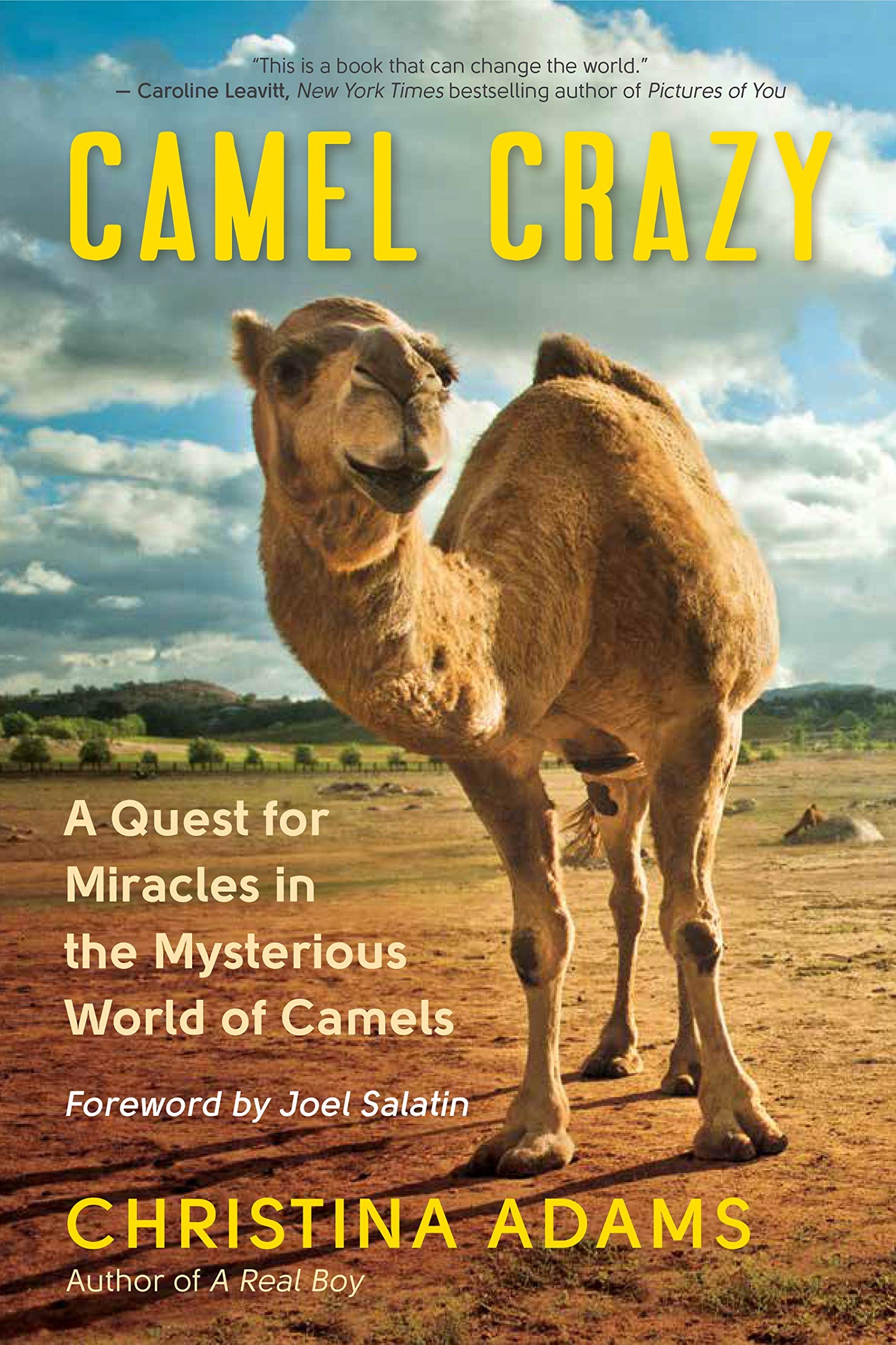 Camel Crazy: A Quest for Miracles in the Mysterious World of Camels The Happy Book Stack