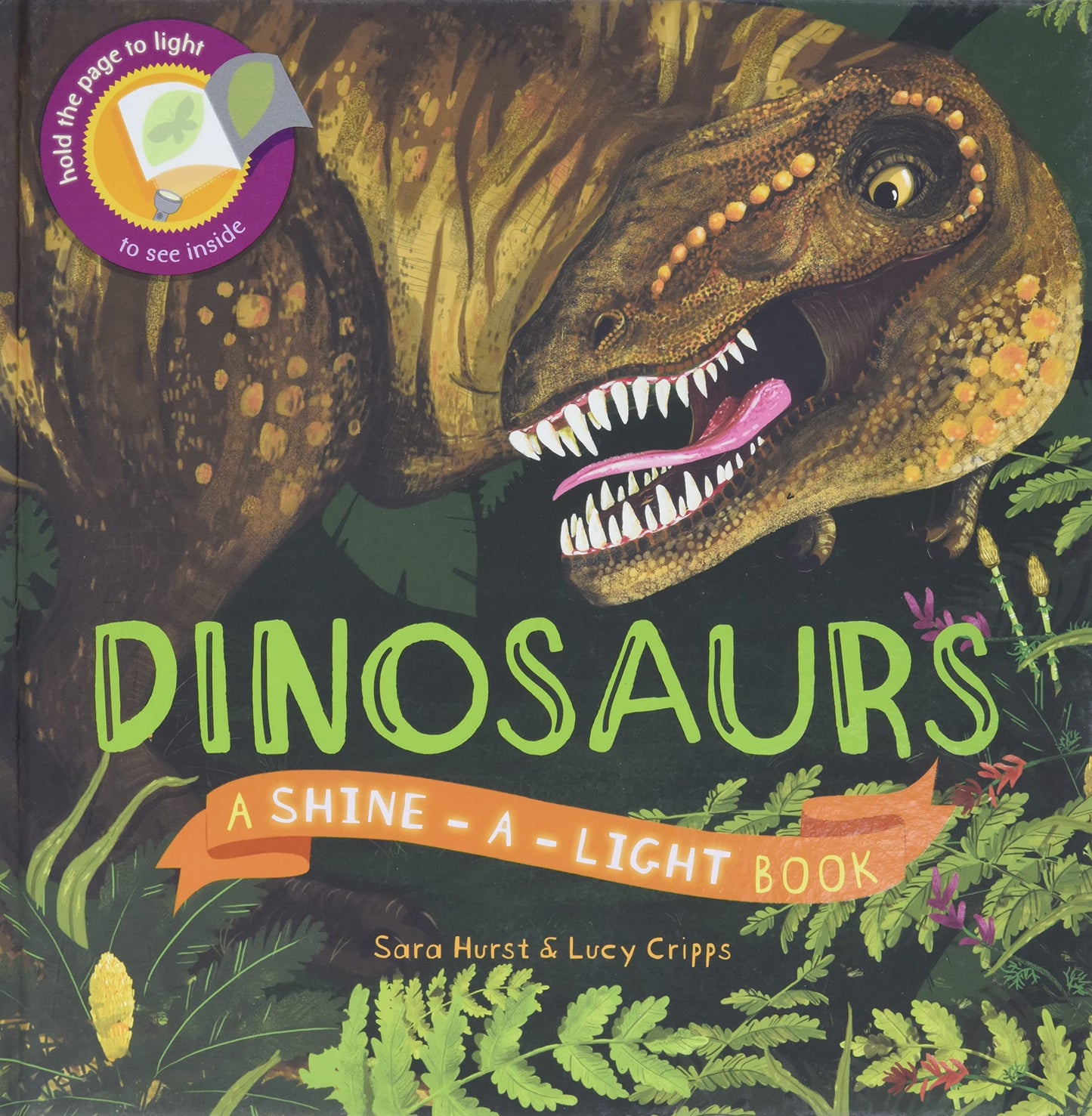 Dinosaurs (Shine-A-Light) The Happy Book Stack