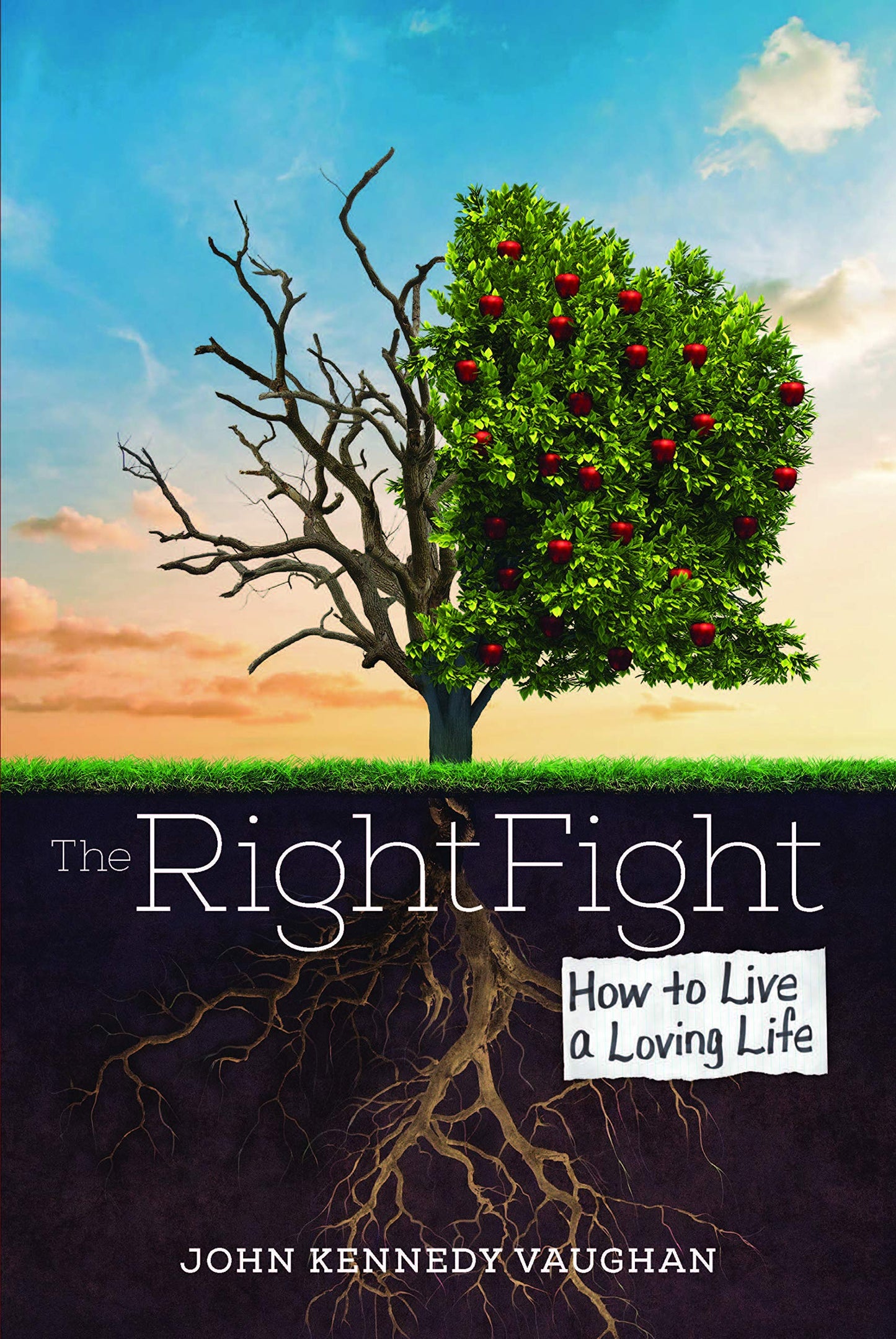 The Right Fight: How to Live a Loving Life The Happy Book Stack
